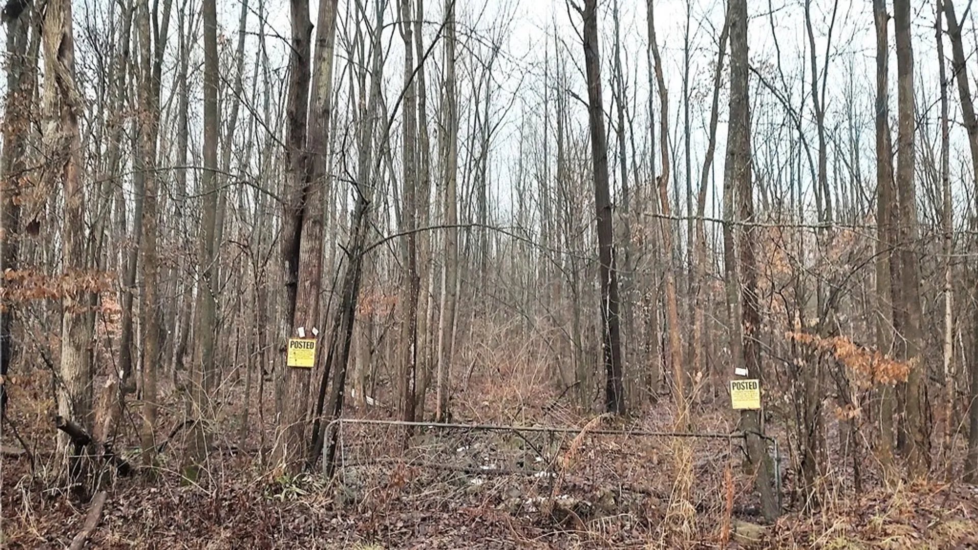 Property at Stephens Road, Lenox, NY 13032 11