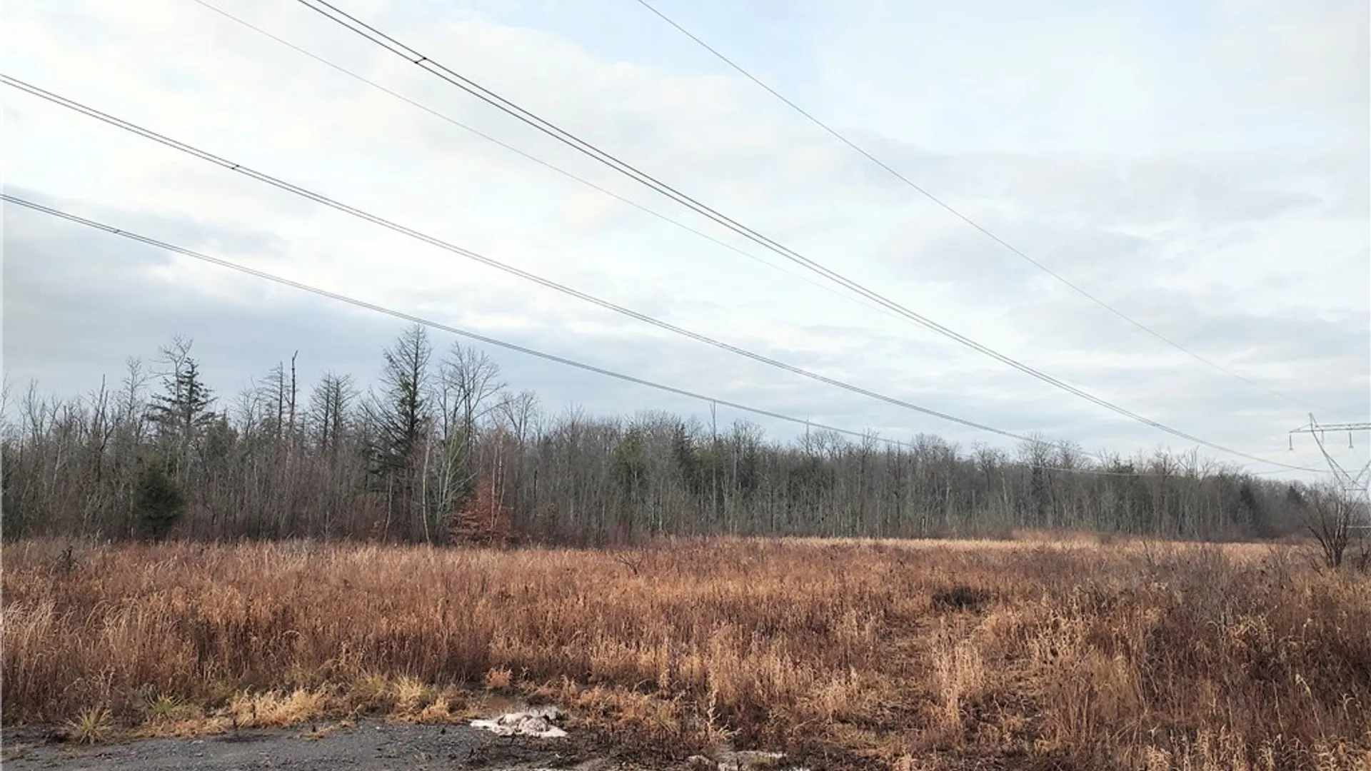 Property at Stephens Road, Lenox, NY 13032 12