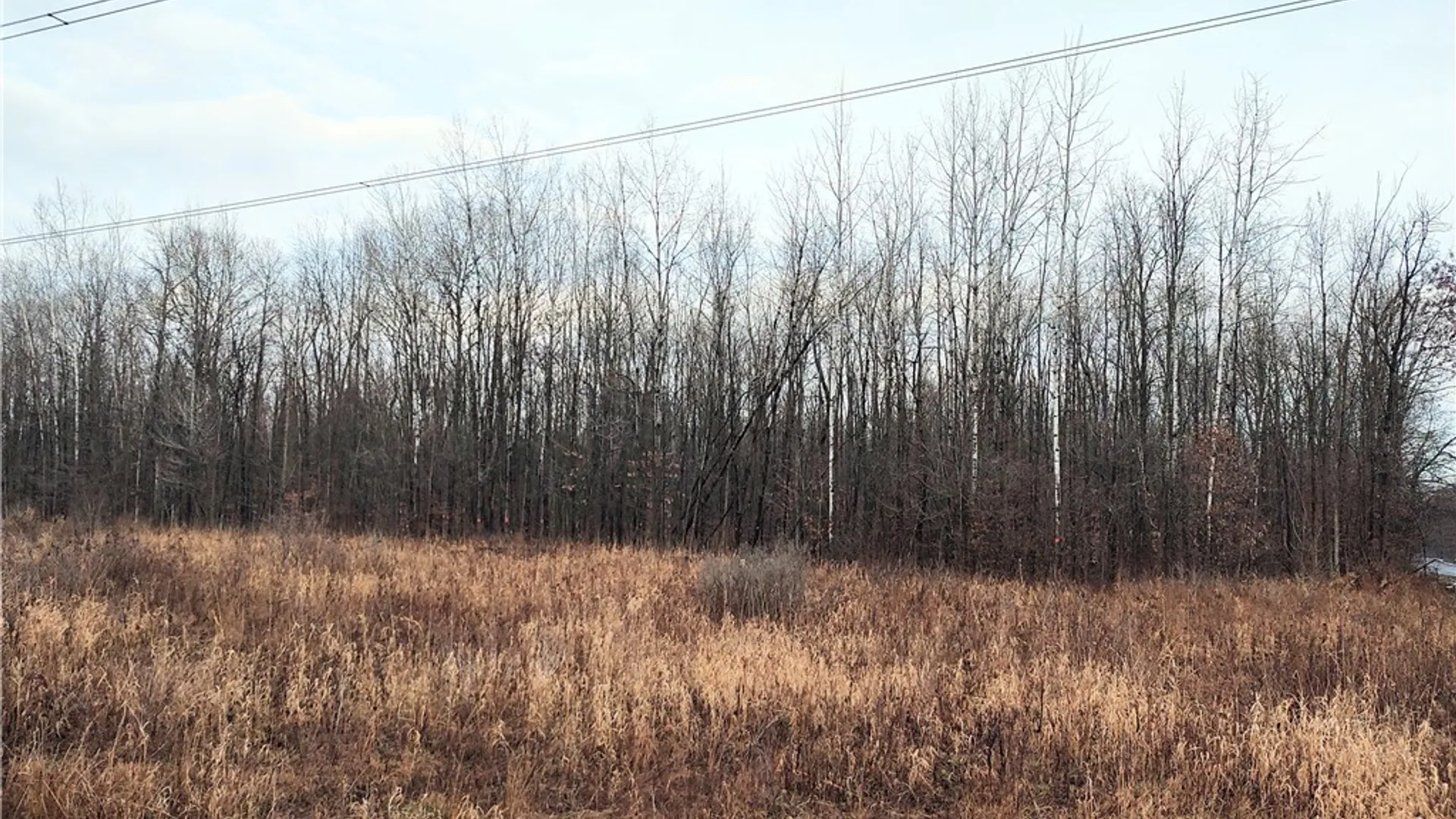 Property at Stephens Road, Lenox, NY 13032 13