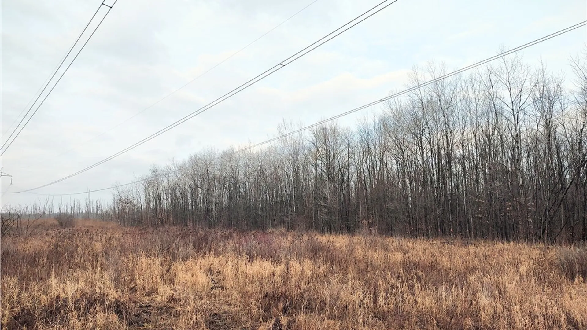 Property at Stephens Road, Lenox, NY 13032 14