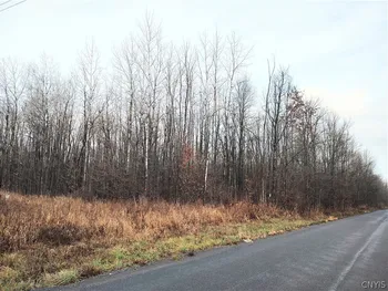 Property at Stephens Road, Lenox, NY 13032