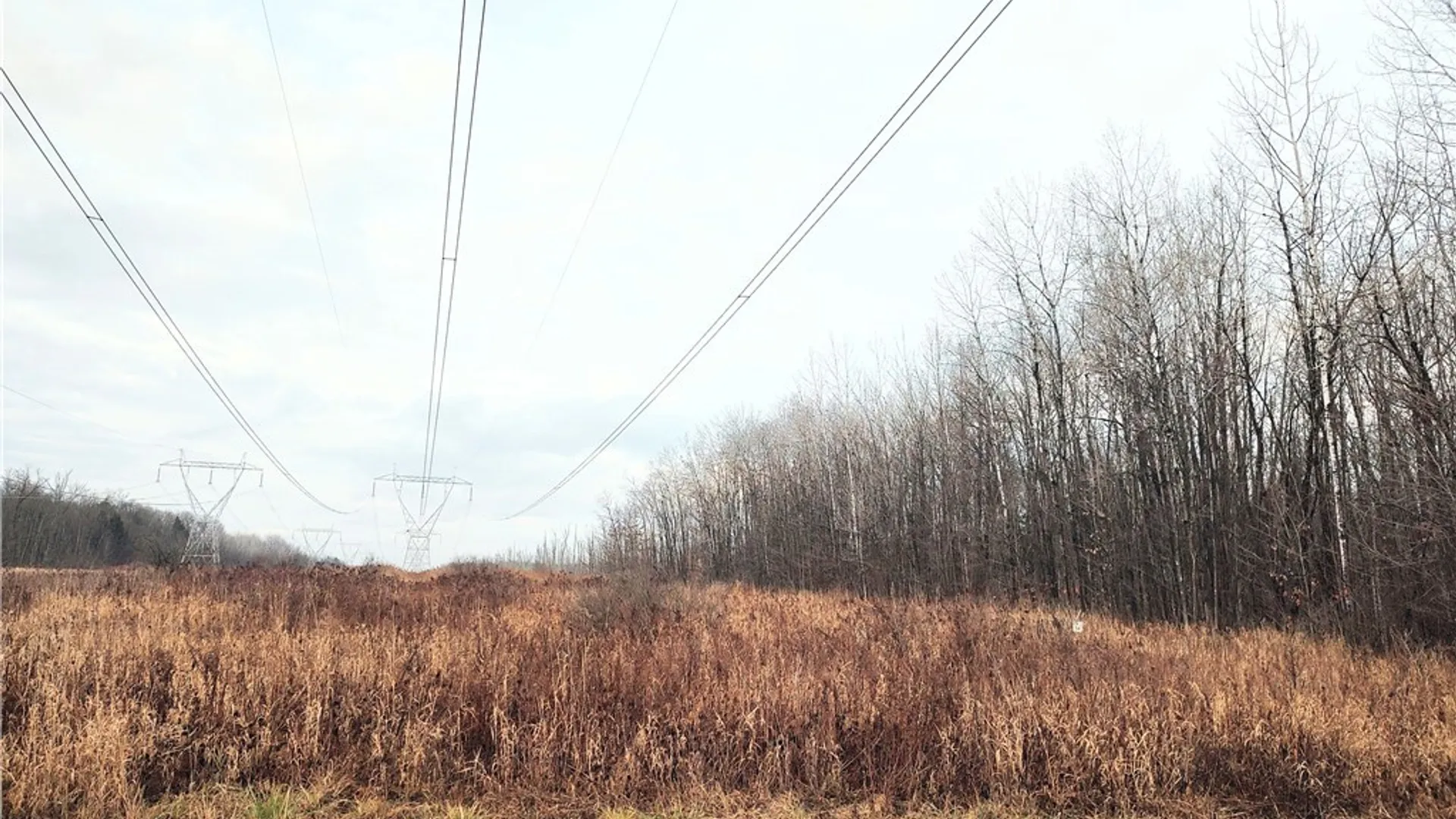 Property at Stephens Road, Lenox, NY 13032 2