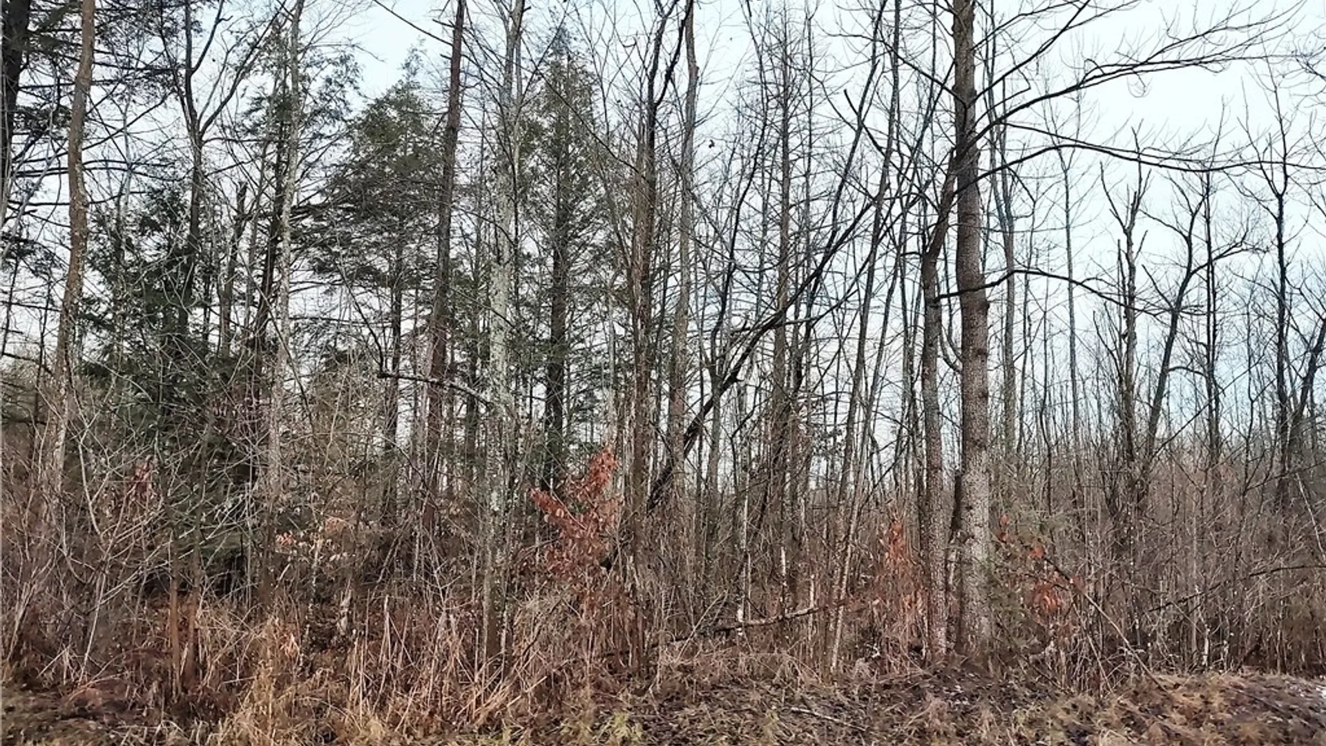 Property at Stephens Road, Lenox, NY 13032 7