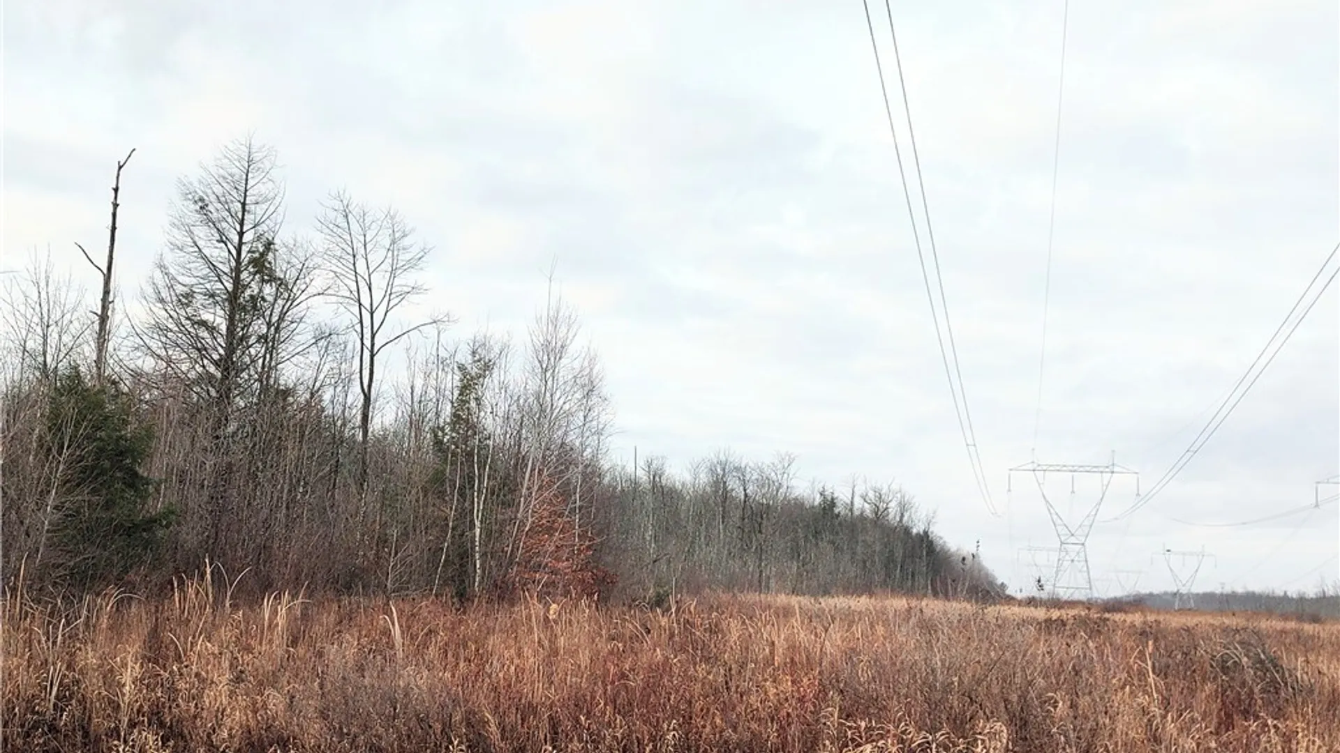 Property at Stephens Road, Lenox, NY 13032 9