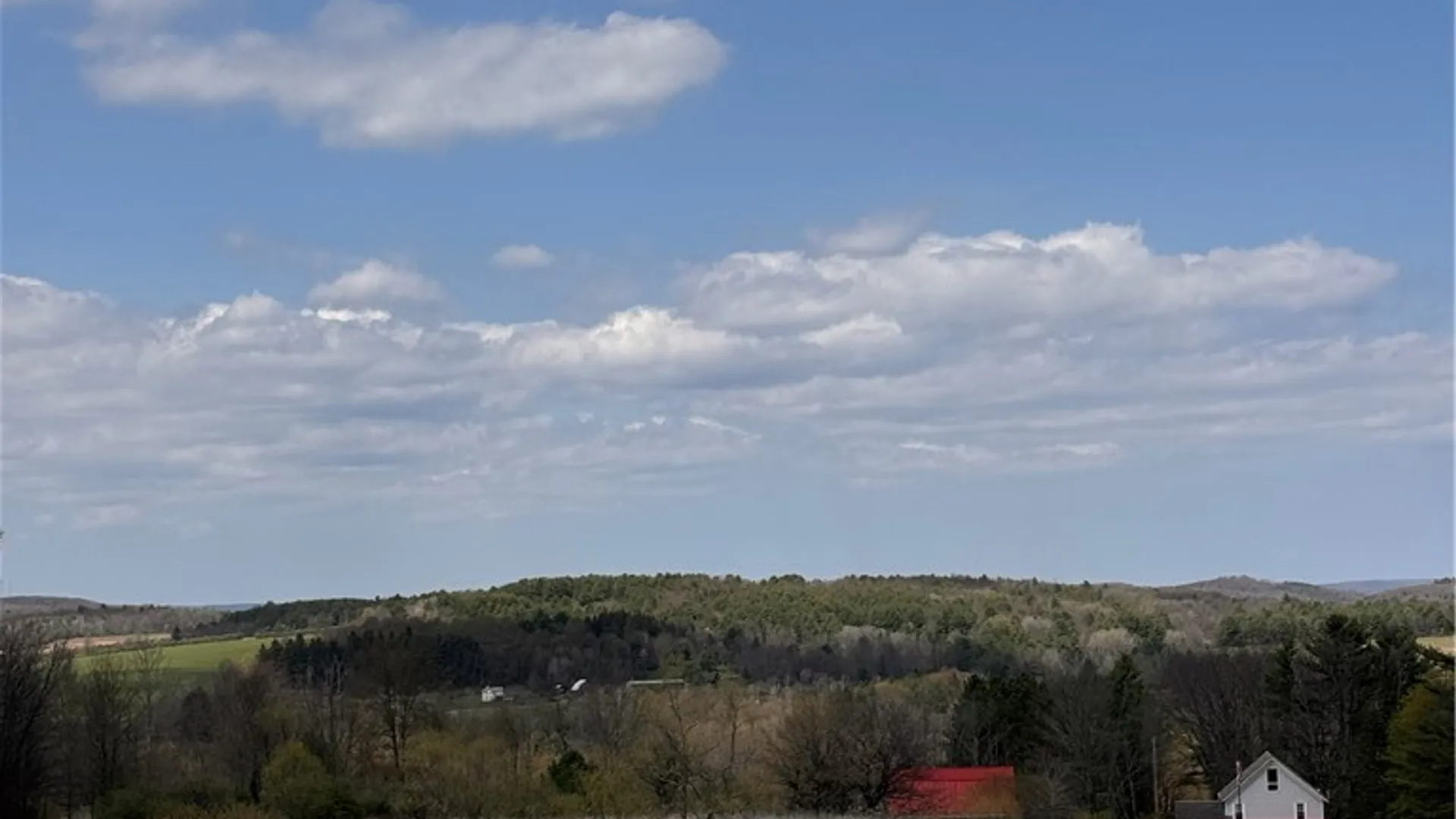 Property at 143 Bonham Road, Barton, NY 14859 33