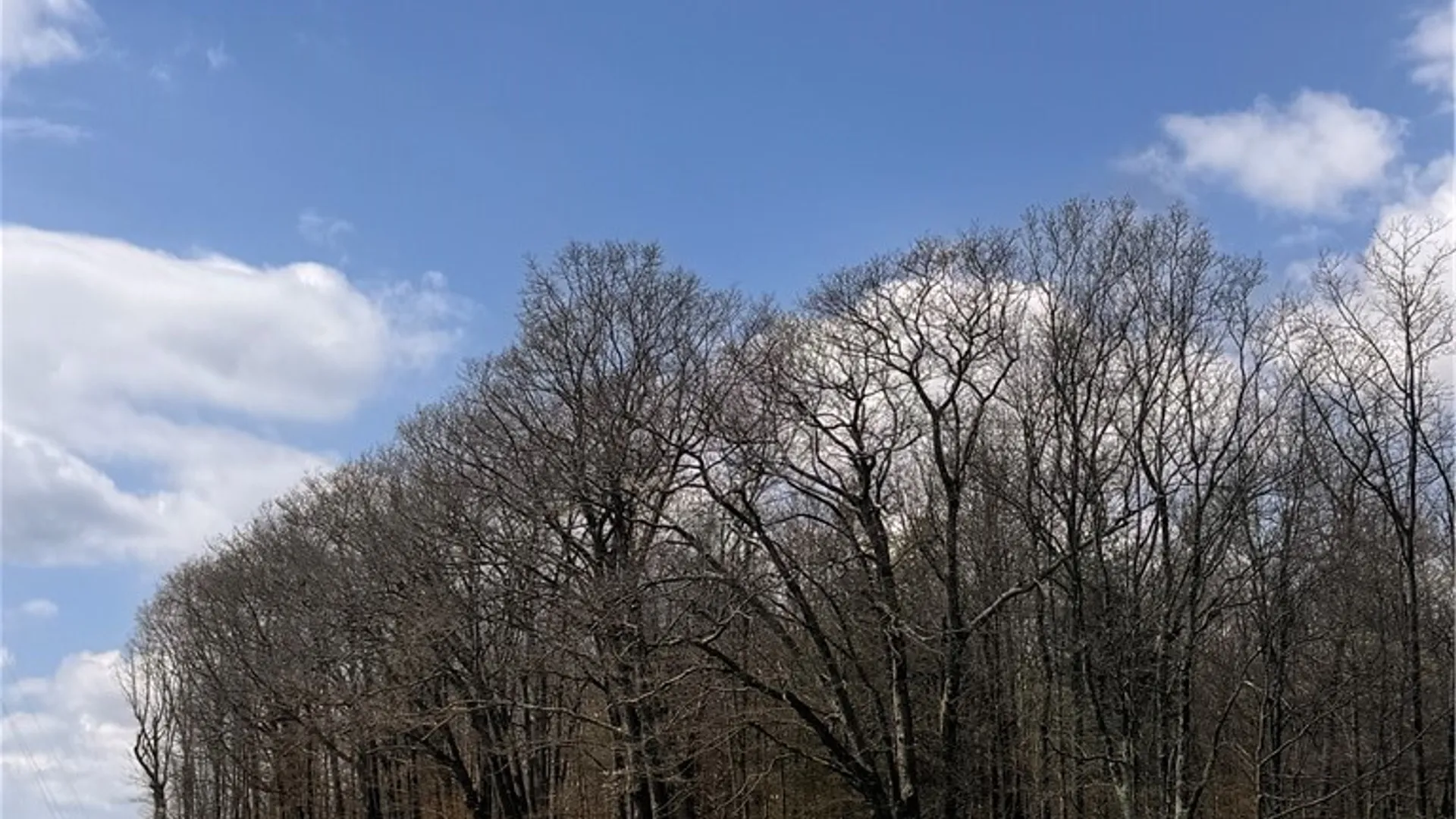 Property at 143 Bonham Road, Barton, NY 14859 40