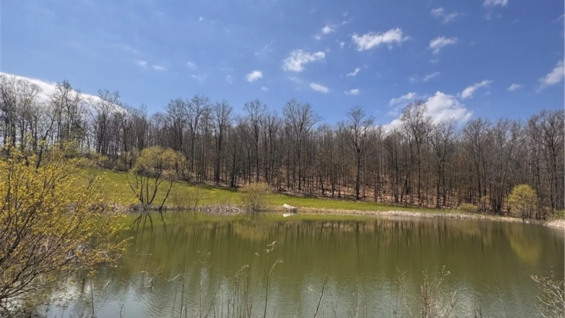 Property at 143 Bonham Road, Barton, NY 14859 42