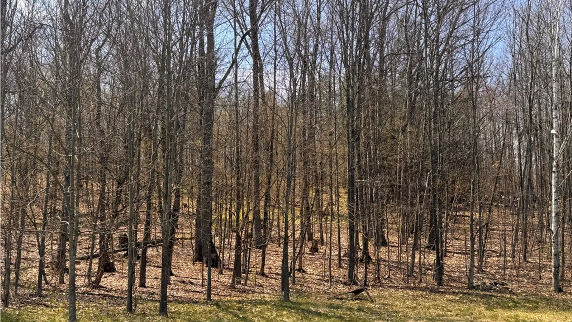 Property at 143 Bonham Road, Barton, NY 14859 43