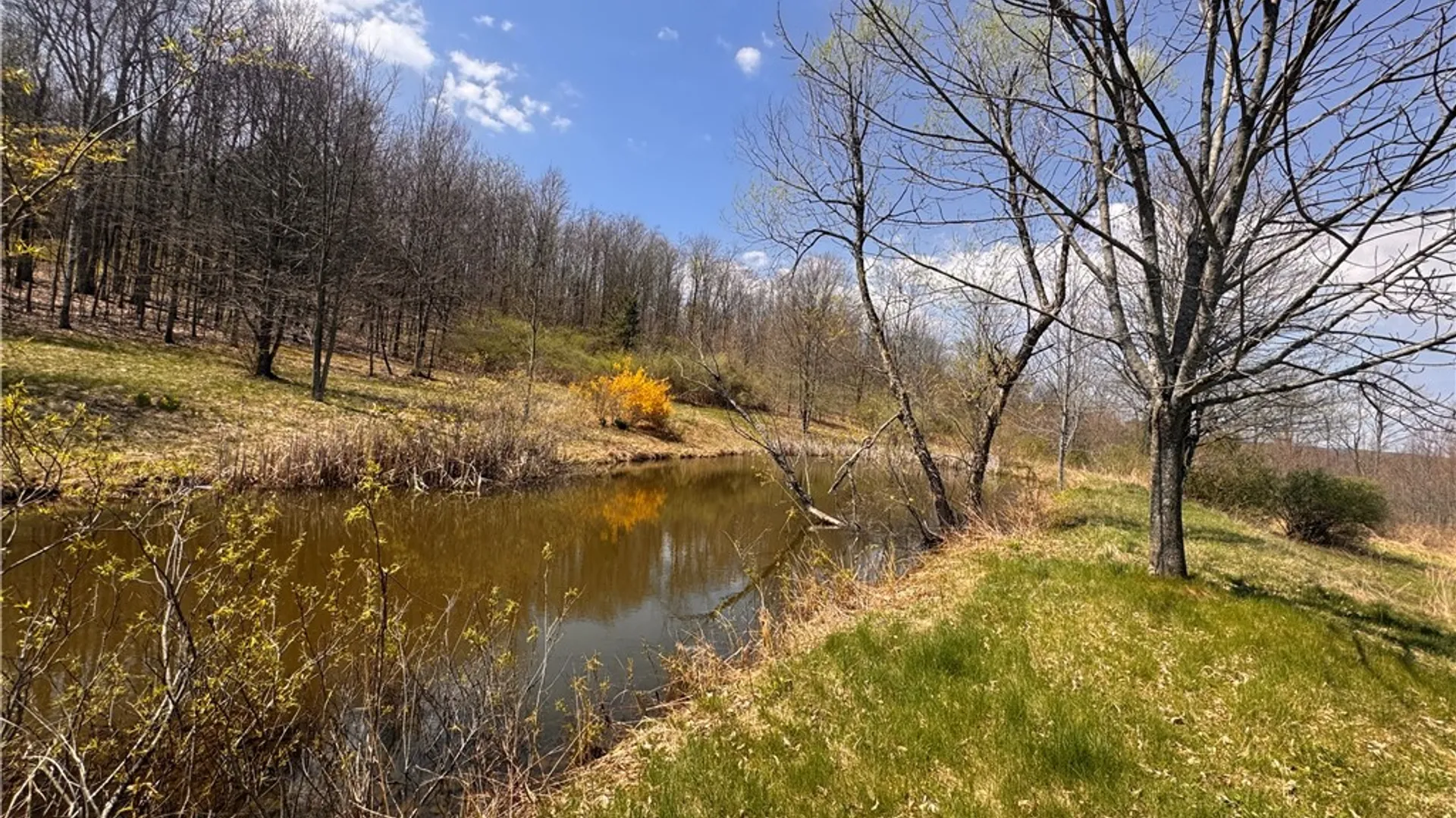 Property at 143 Bonham Road, Barton, NY 14859 44