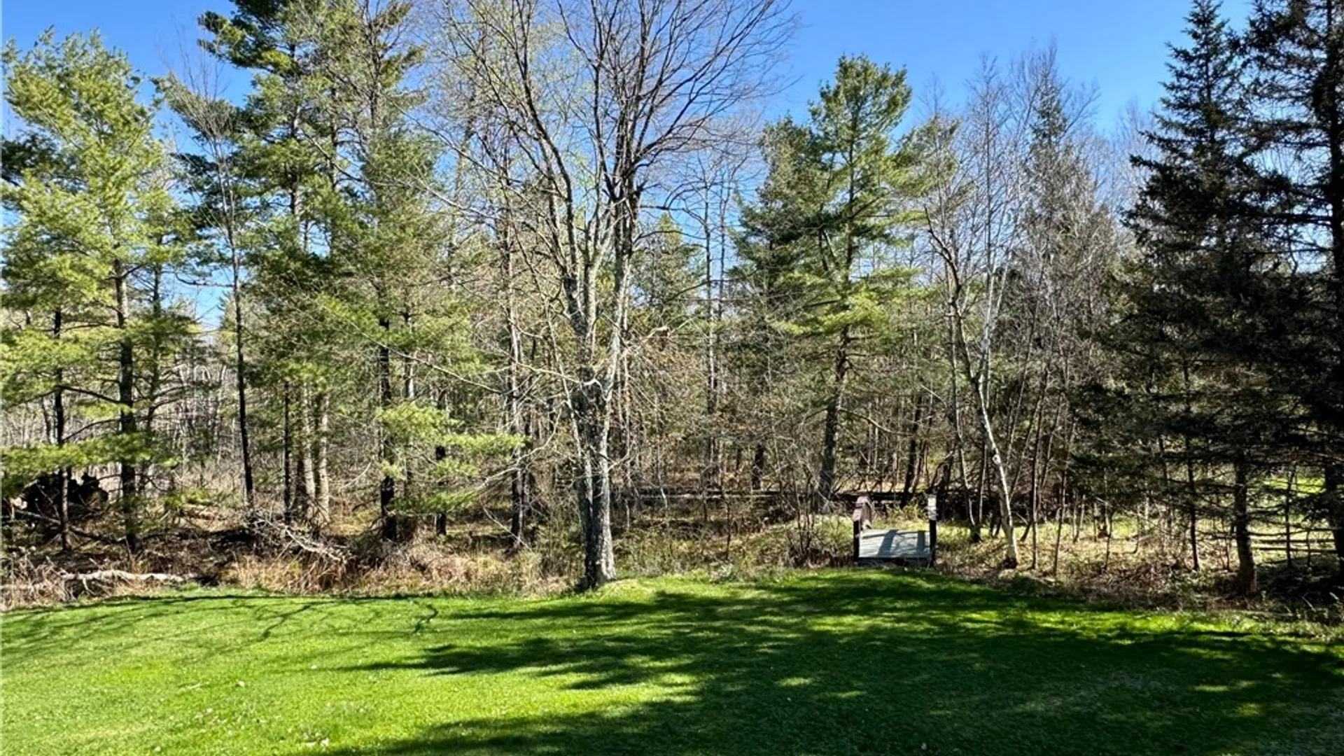 Property at 239 Peebles Hill Road, Oneonta, NY 13820 32