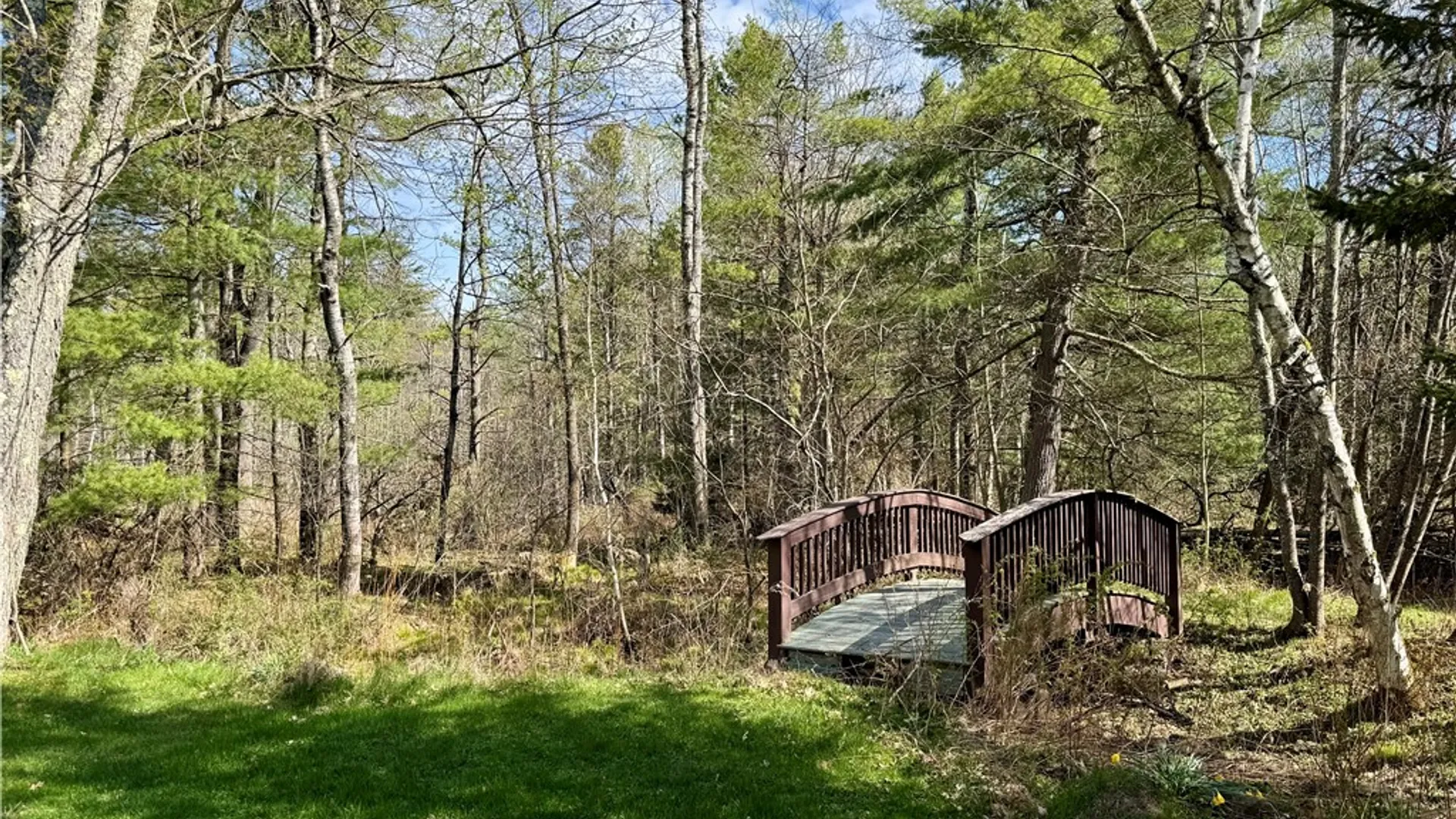 Property at 239 Peebles Hill Road, Oneonta, NY 13820 4