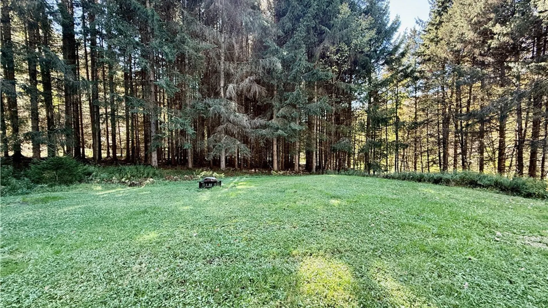 Property at 299 Bells Brook Road, Genesee, NY 14721 24