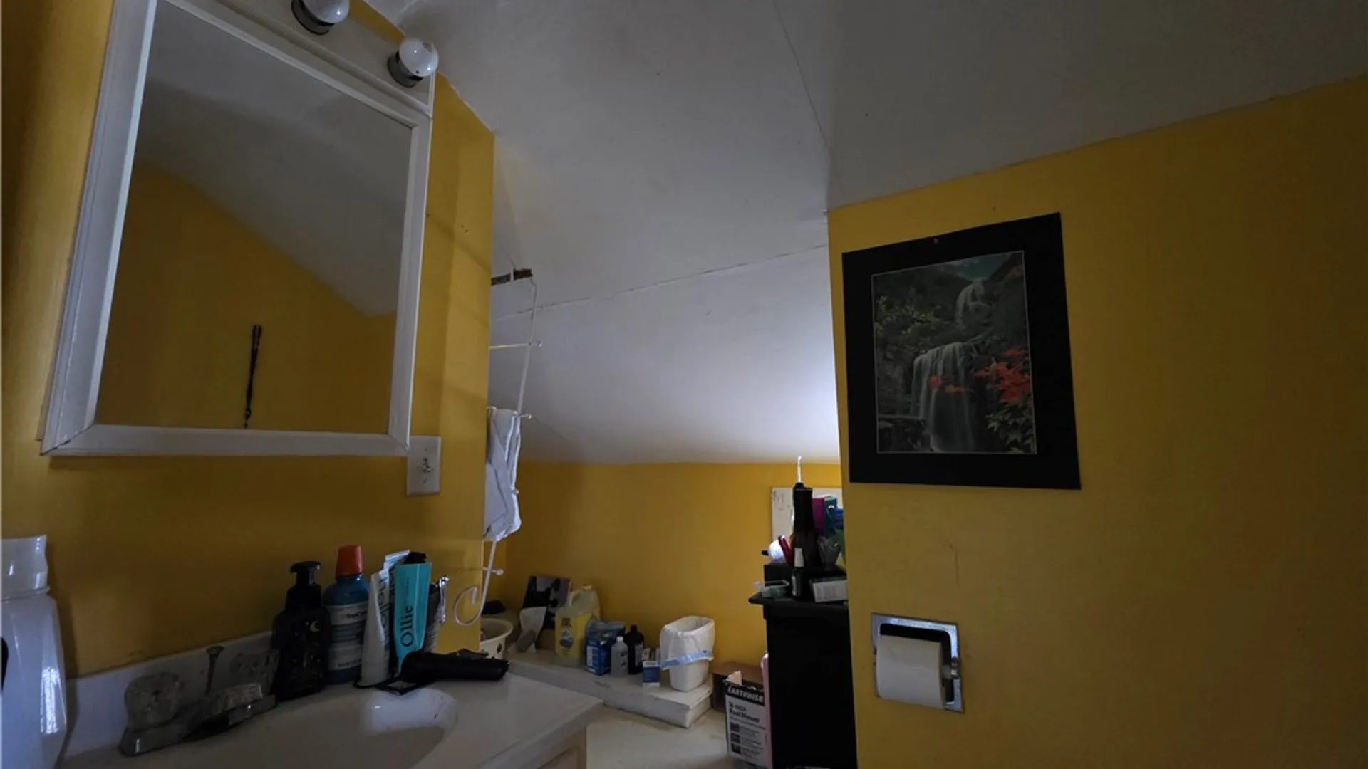 Property at 442 5th Street, Elmira City, NY 14901 20