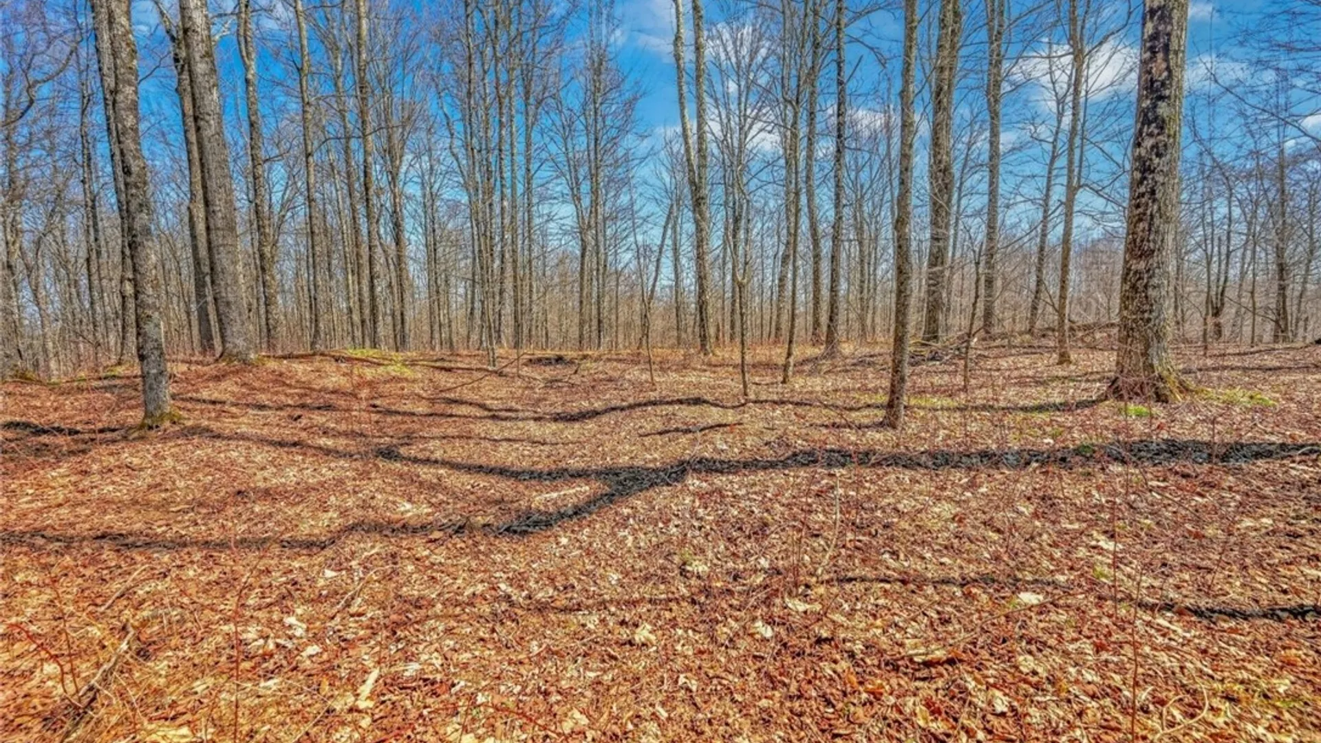 Property at L25 Parker Schoolhouse Rd Extension, Davenport, NY 13750 11