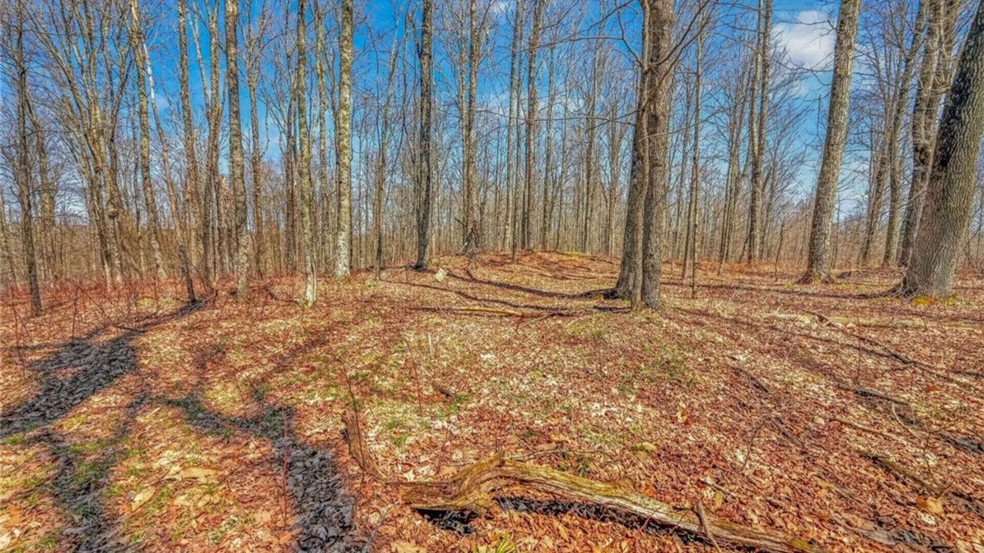 Property at L25 Parker Schoolhouse Rd Extension, Davenport, NY 13750 12