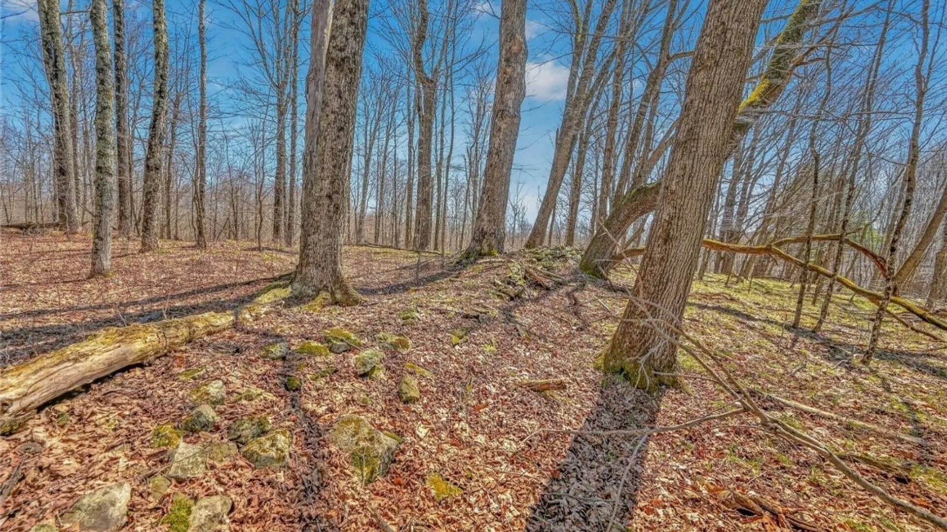 Property at L25 Parker Schoolhouse Rd Extension, Davenport, NY 13750 13