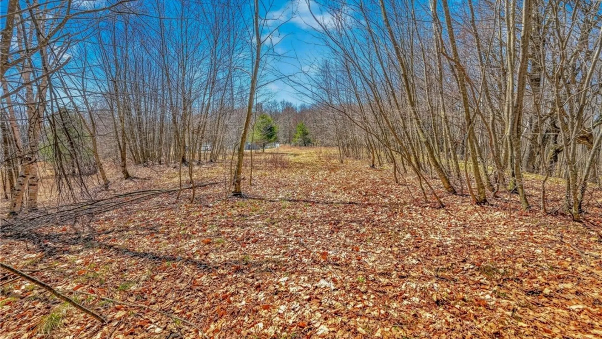 Property at L25 Parker Schoolhouse Rd Extension, Davenport, NY 13750 14