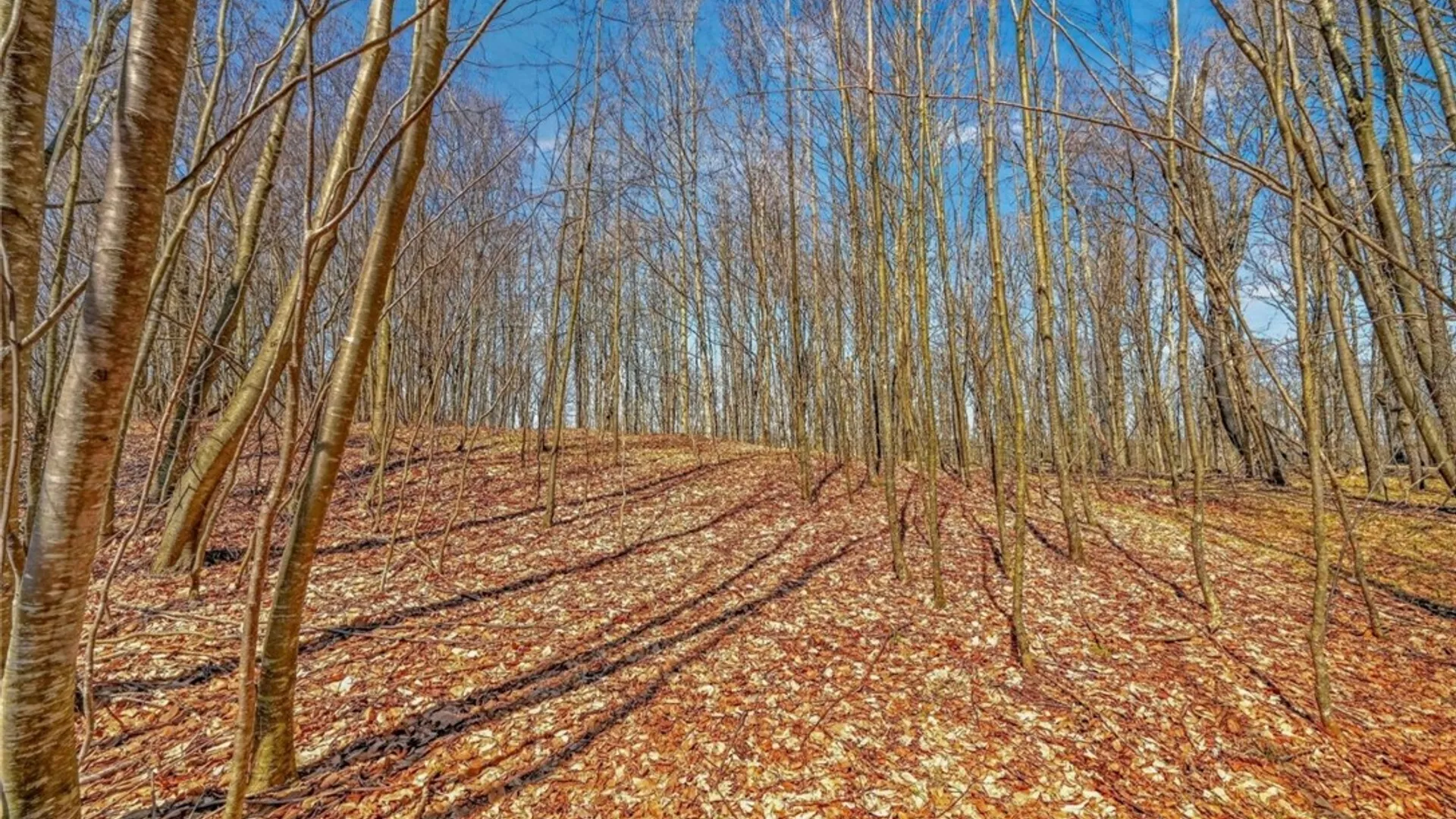 Property at L25 Parker Schoolhouse Rd Extension, Davenport, NY 13750 15