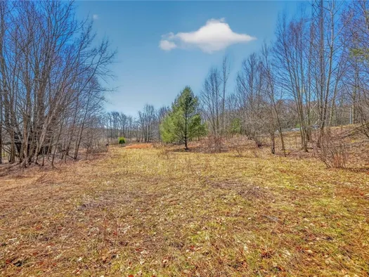 Property at L25 Parker Schoolhouse Rd Extension, Davenport, NY 13750