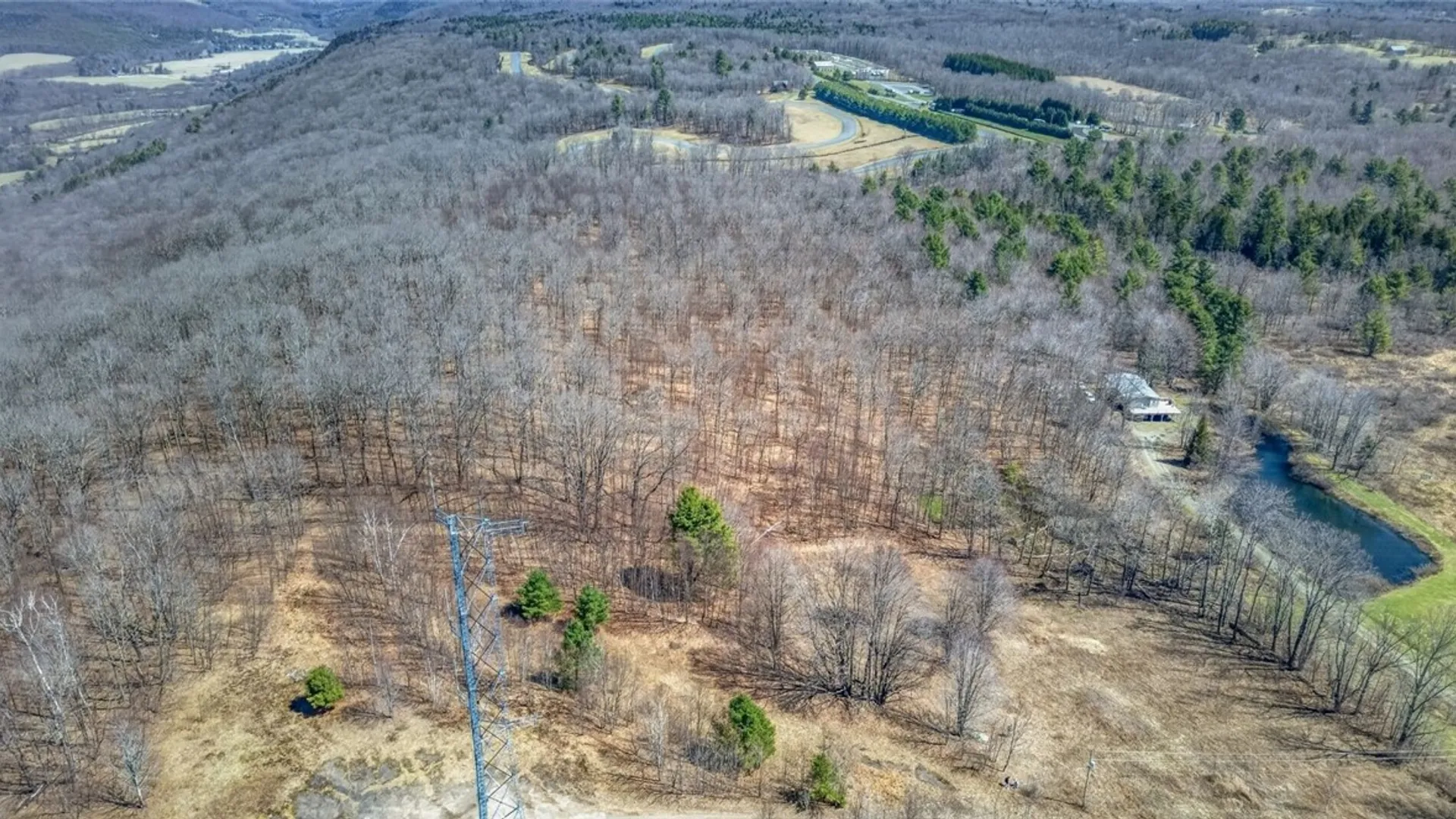 Property at L25 Parker Schoolhouse Rd Extension, Davenport, NY 13750 22