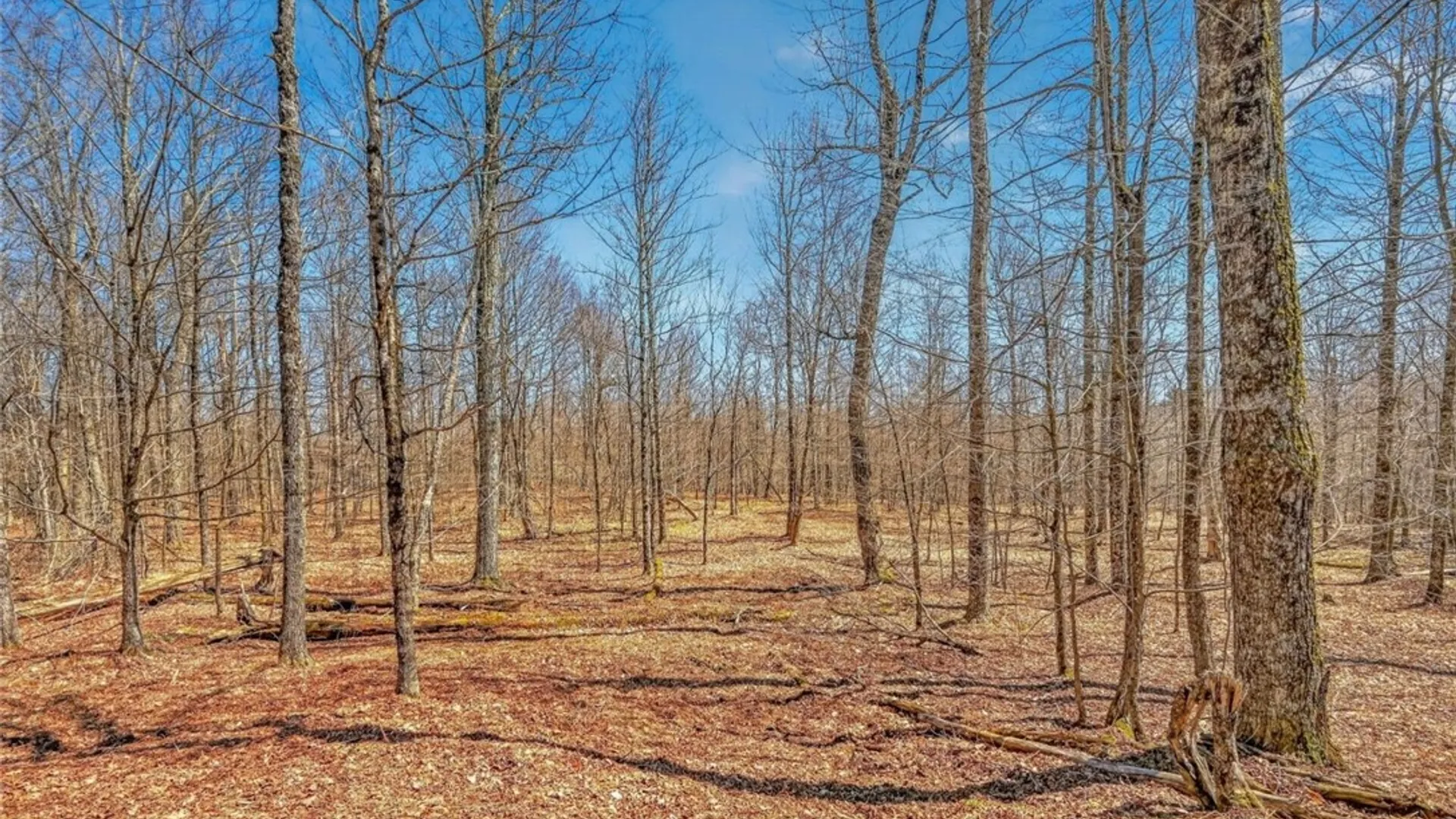 Property at L25 Parker Schoolhouse Rd Extension, Davenport, NY 13750 7