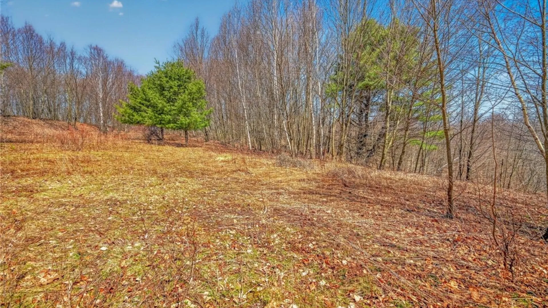 Property at L25 Parker Schoolhouse Rd Extension, Davenport, NY 13750 8