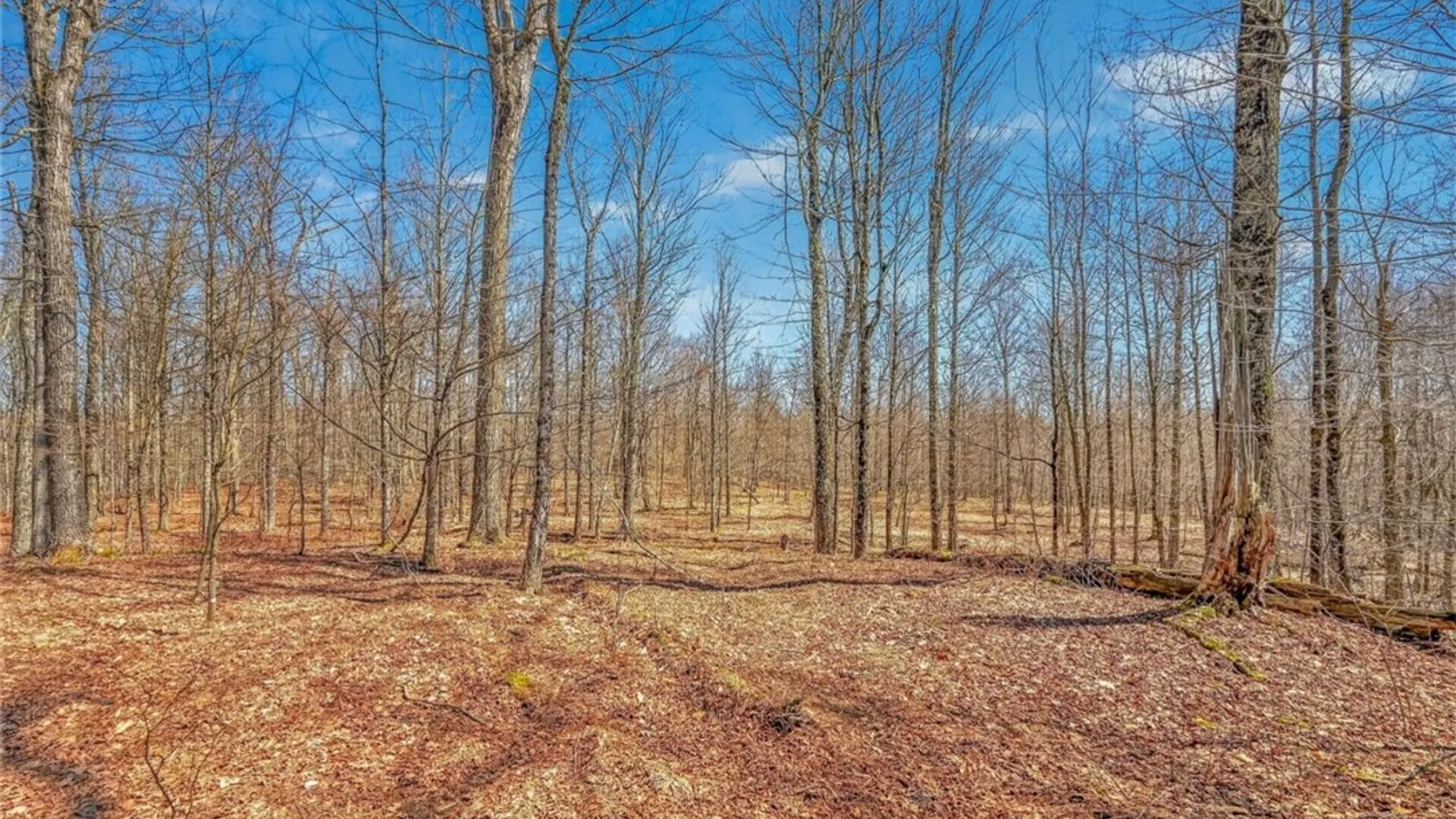 Property at L25 Parker Schoolhouse Rd Extension, Davenport, NY 13750 9