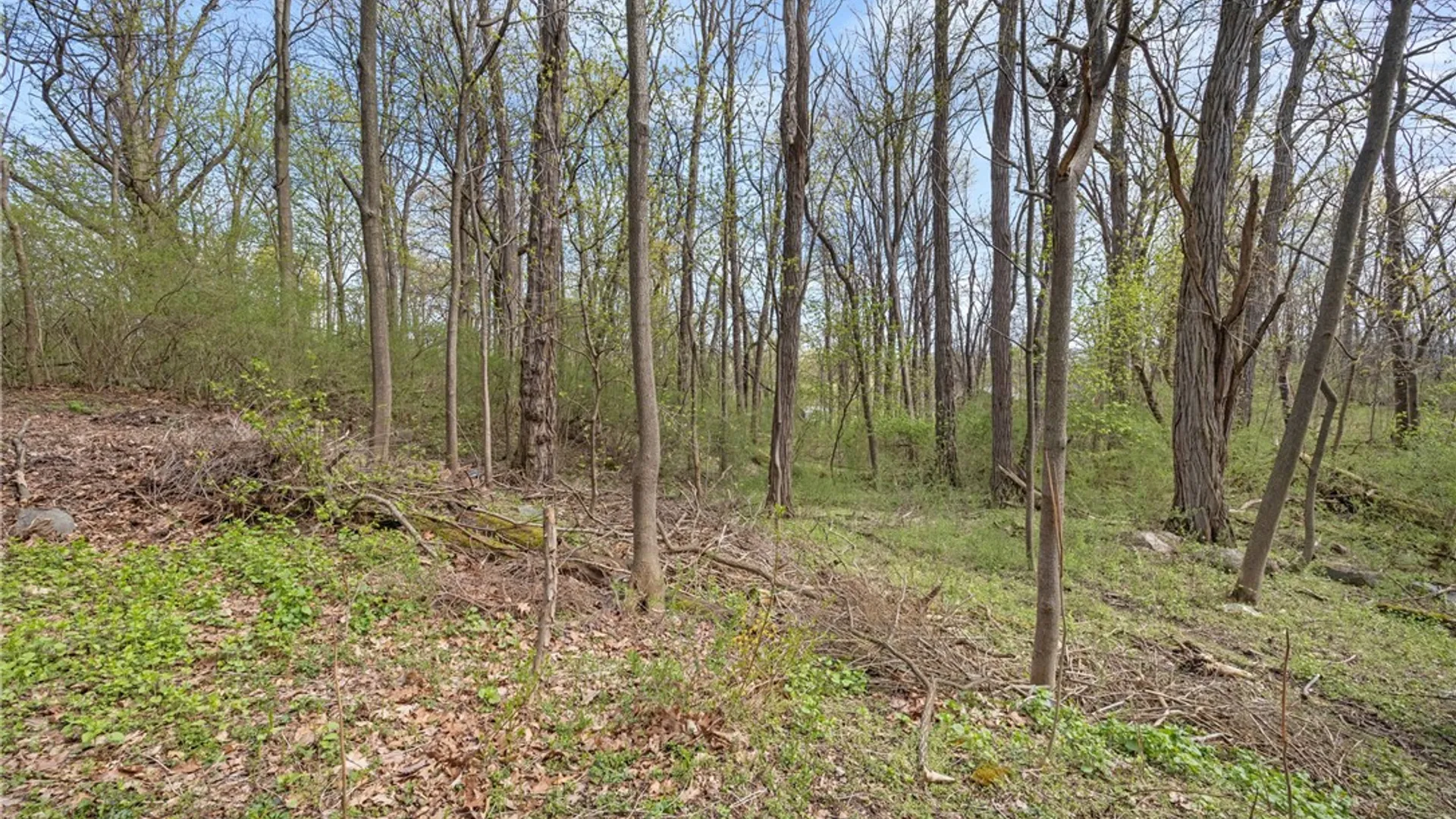 Property at 20 Northview Drive, Jerusalem, NY 14527 14