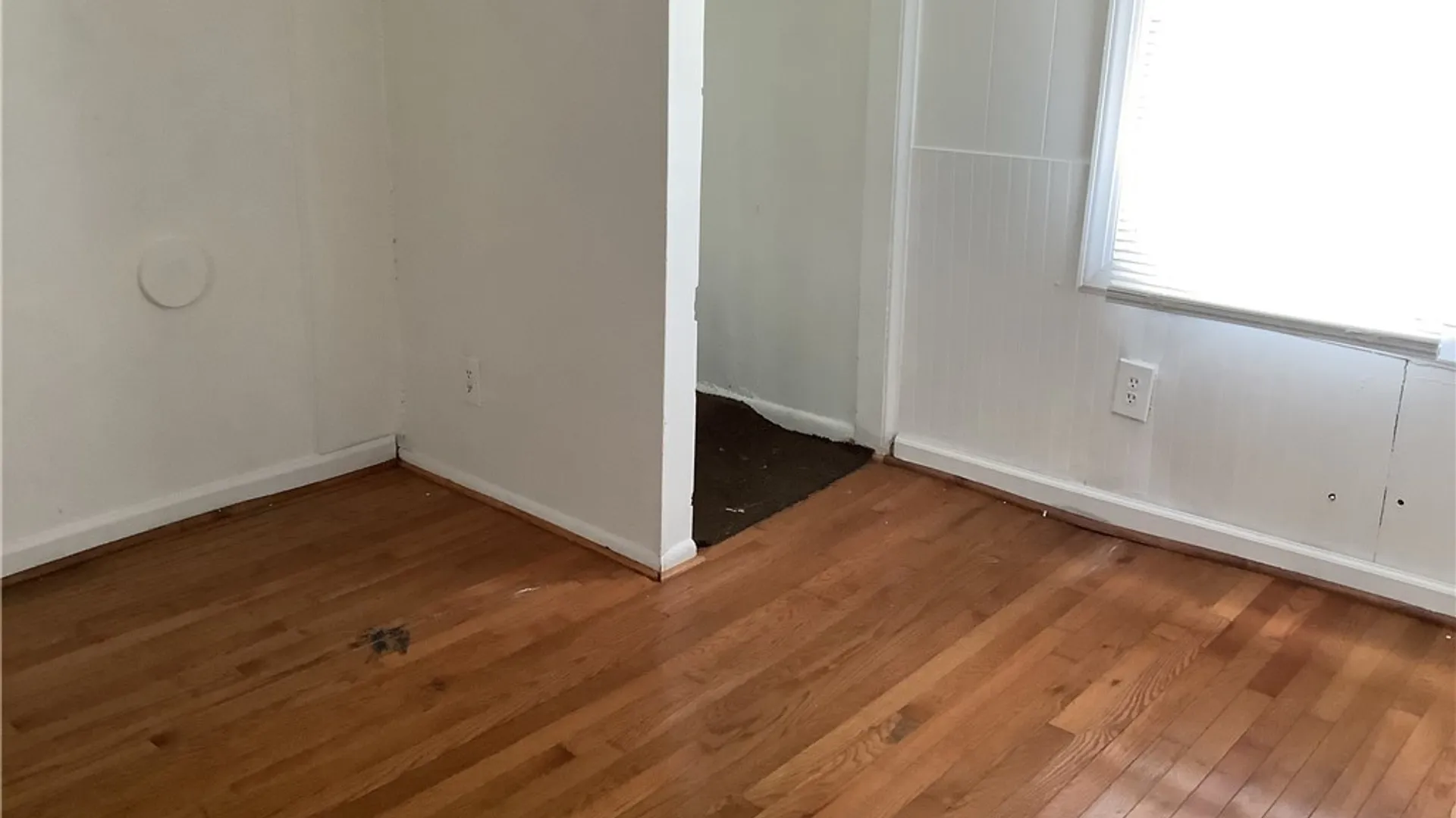 Property at 117 Farmer Street, Buffalo, NY 14207 14
