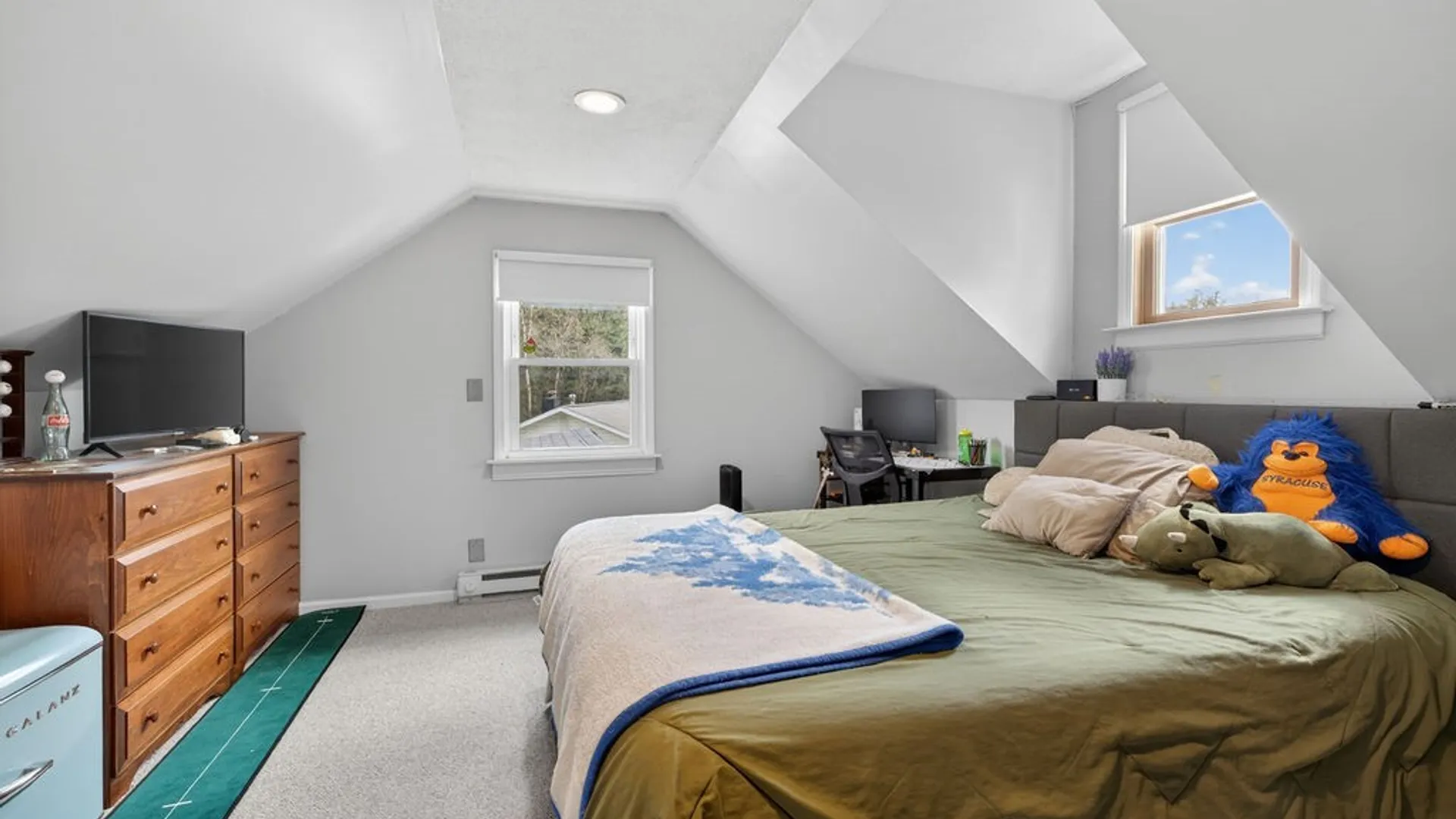 Property at 101 Broadmoor Drive, Camillus, NY 13031 23