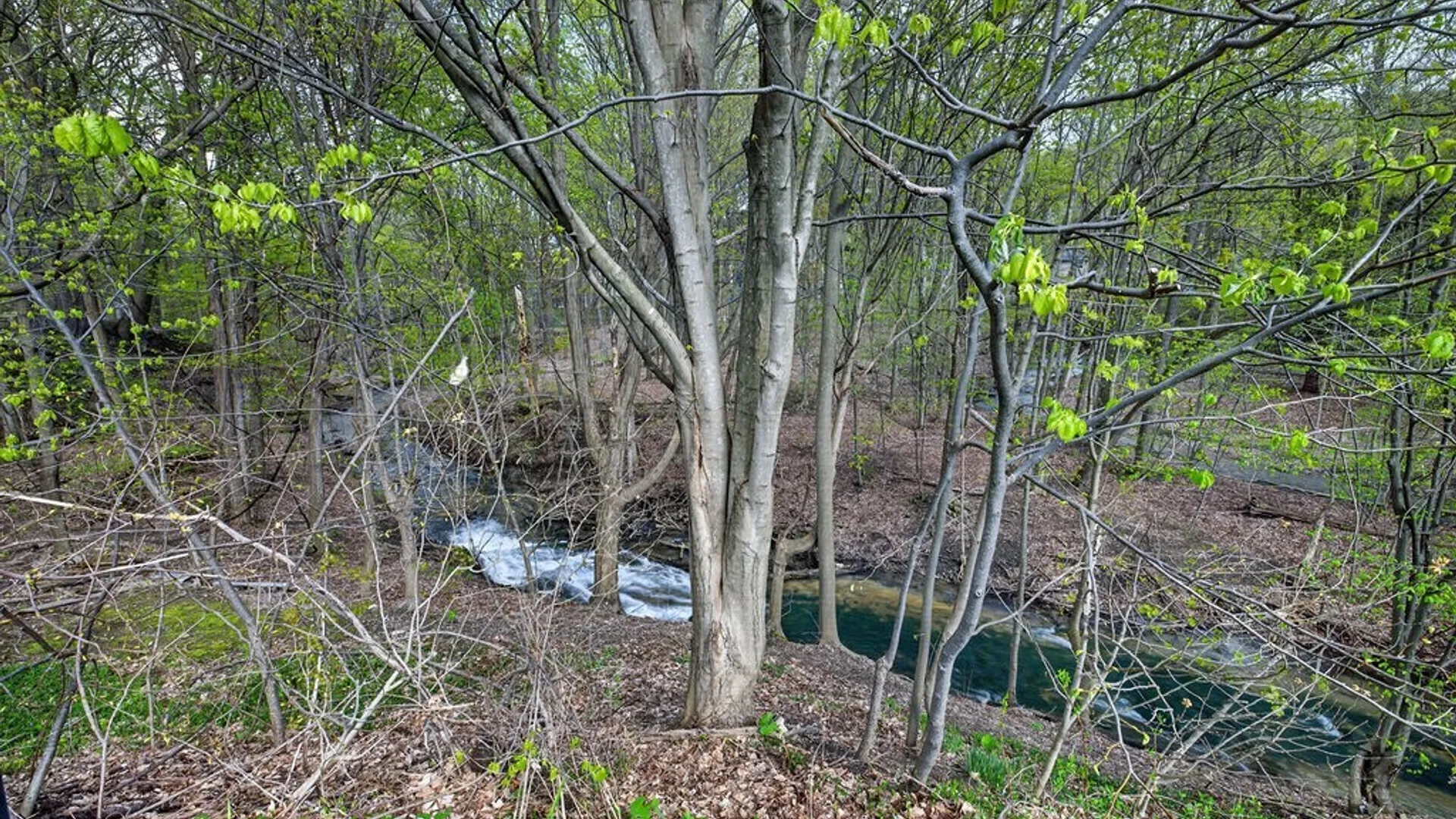 Property at 101 Broadmoor Drive, Camillus, NY 13031 49