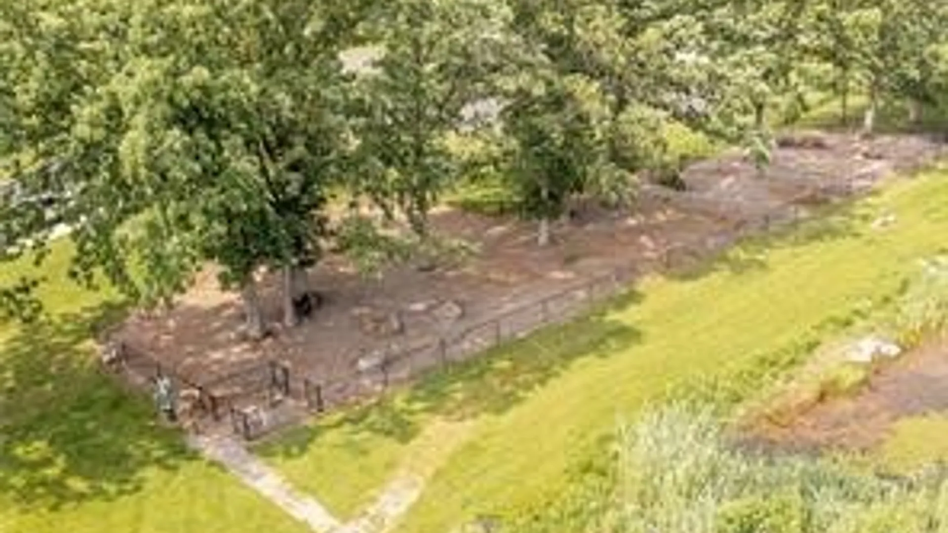 Property at 209 Cos Grande, Brighton, NY 14618 49