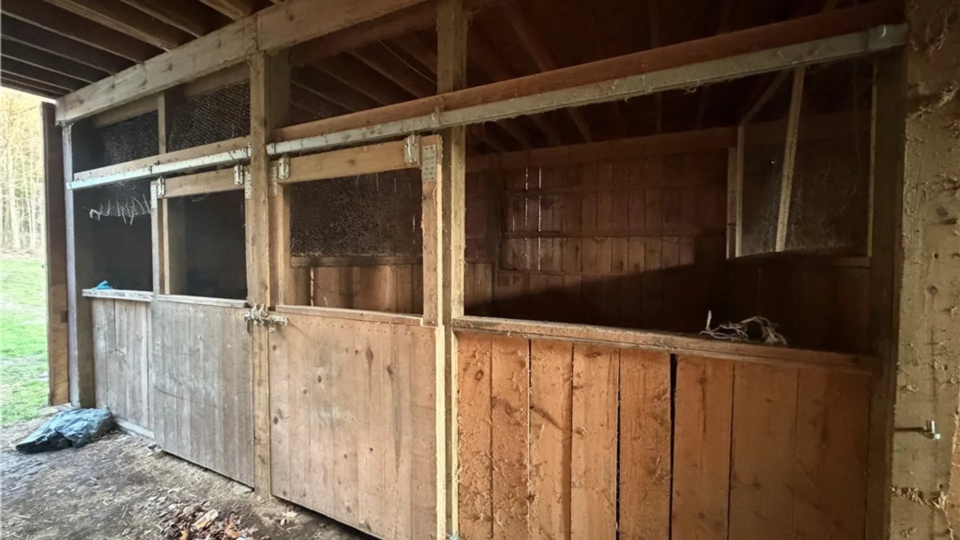 Property at 8547 Hill Road, Allen, NY 14711 37