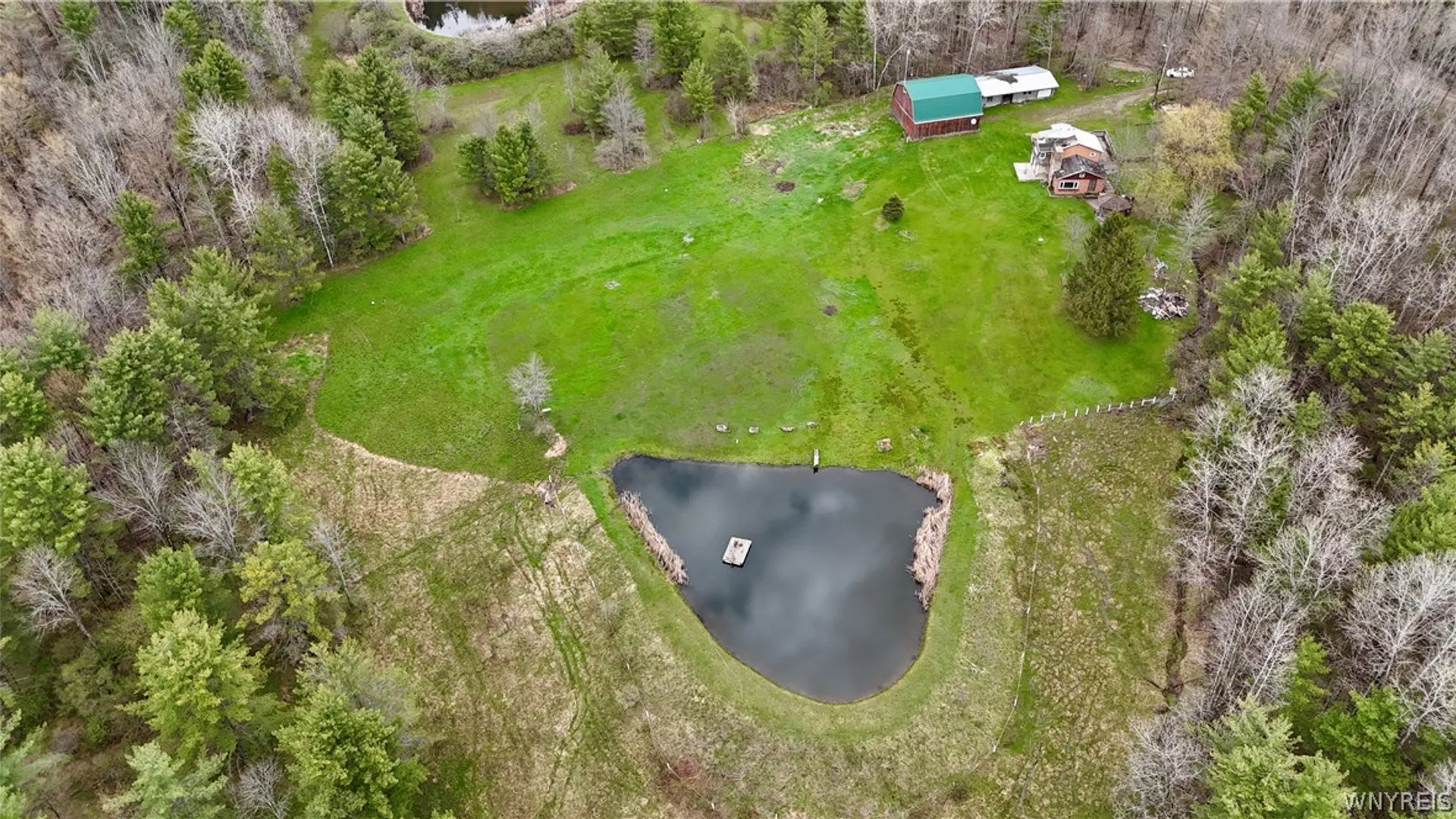 Property at 8547 Hill Road, Allen, NY 14711 7