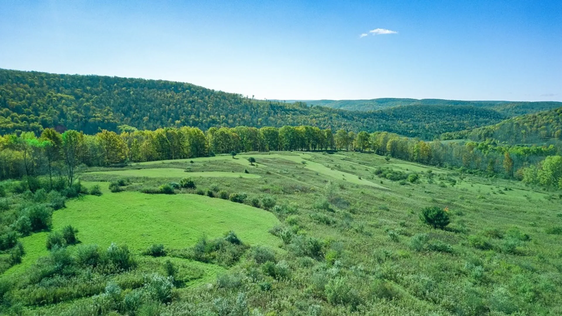 Property at 436 Teeter Road, Bingham, PA 16923 40