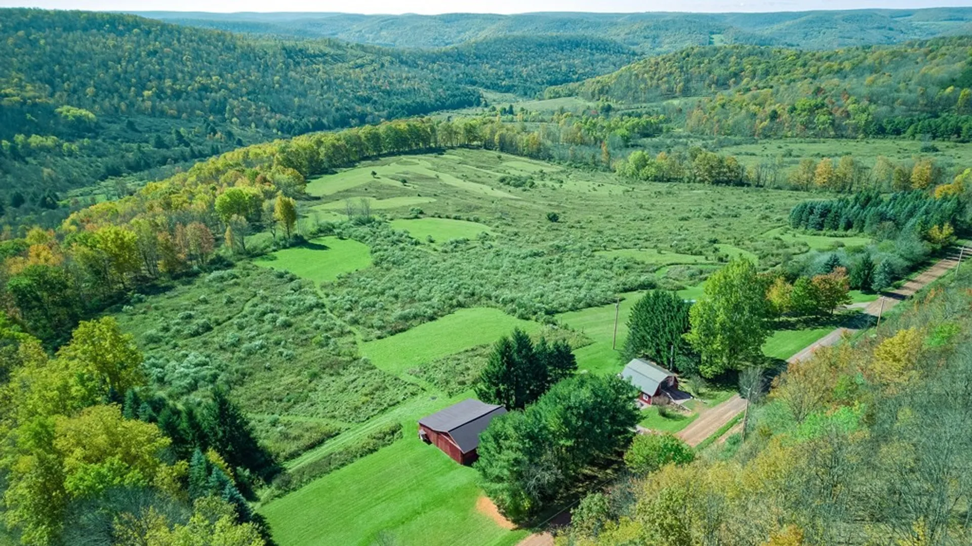 Property at 436 Teeter Road, Bingham, PA 16923 45