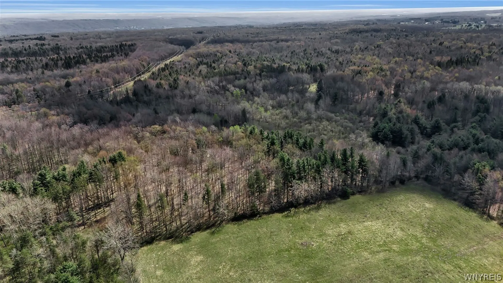 Property at 8721 Center Road, Colden, NY 14080 48
