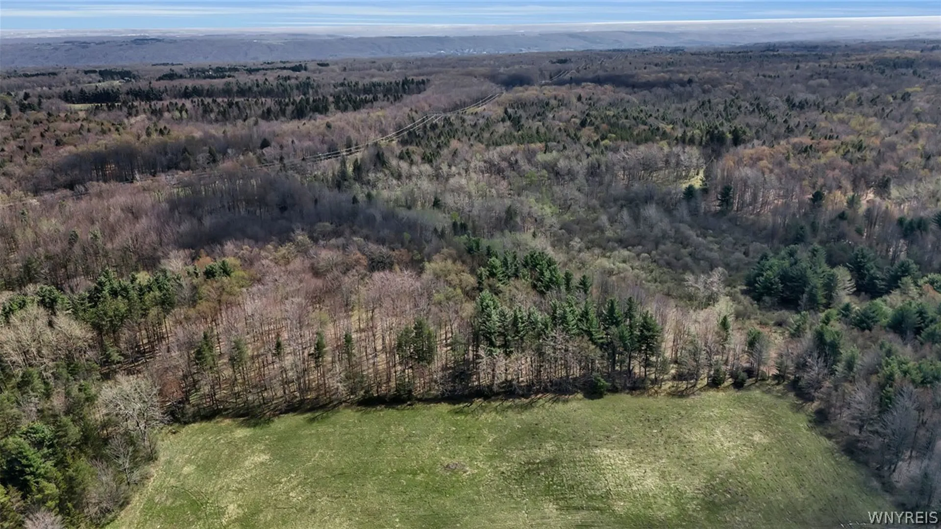 Property at 8721 Center Road, Colden, NY 14080 50