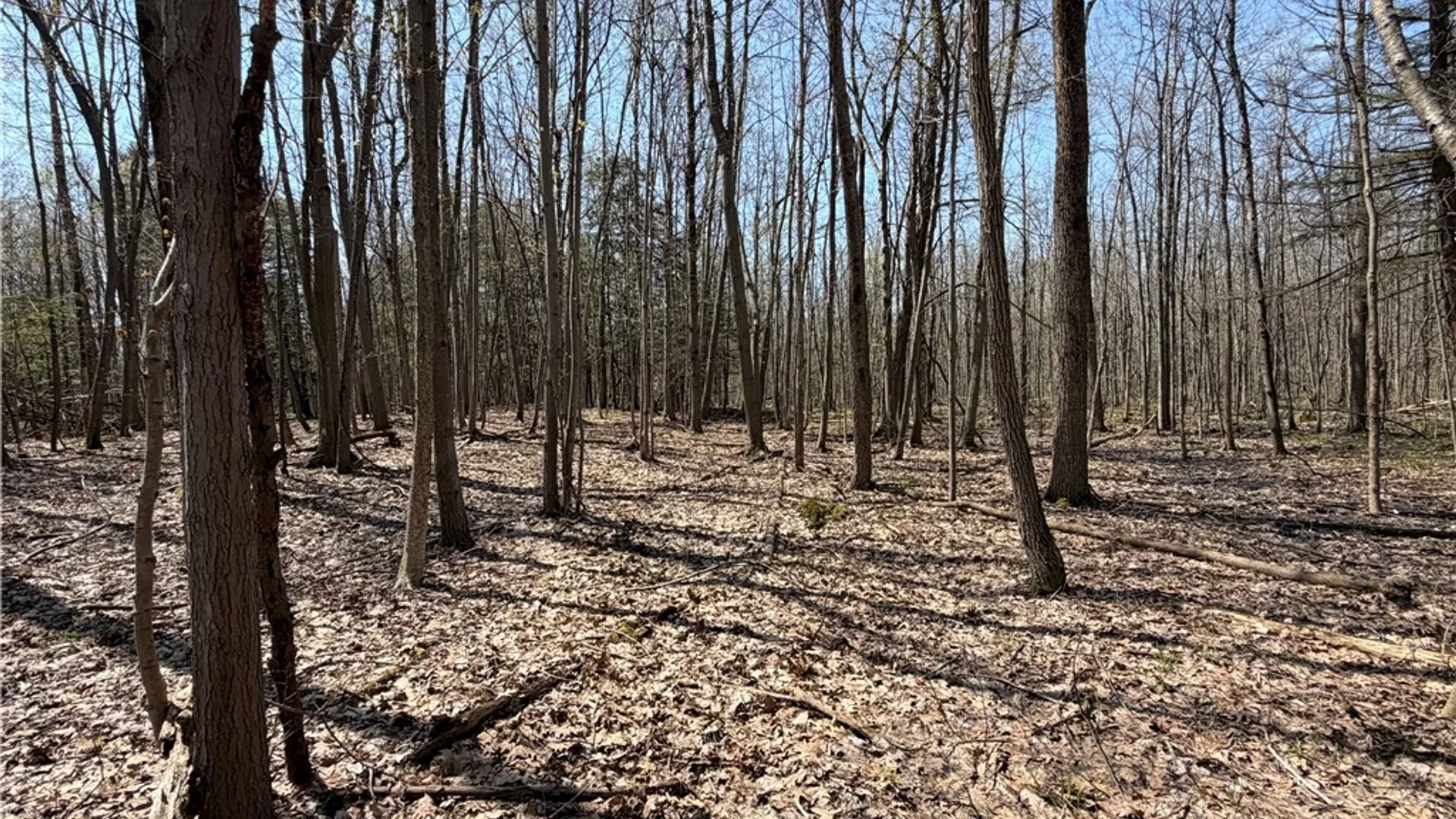 Property at Cedar Road, Clarence, NY 14032 11