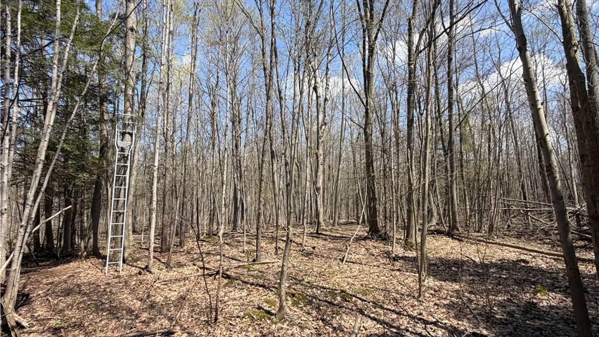 Property at Cedar Road, Clarence, NY 14032 17