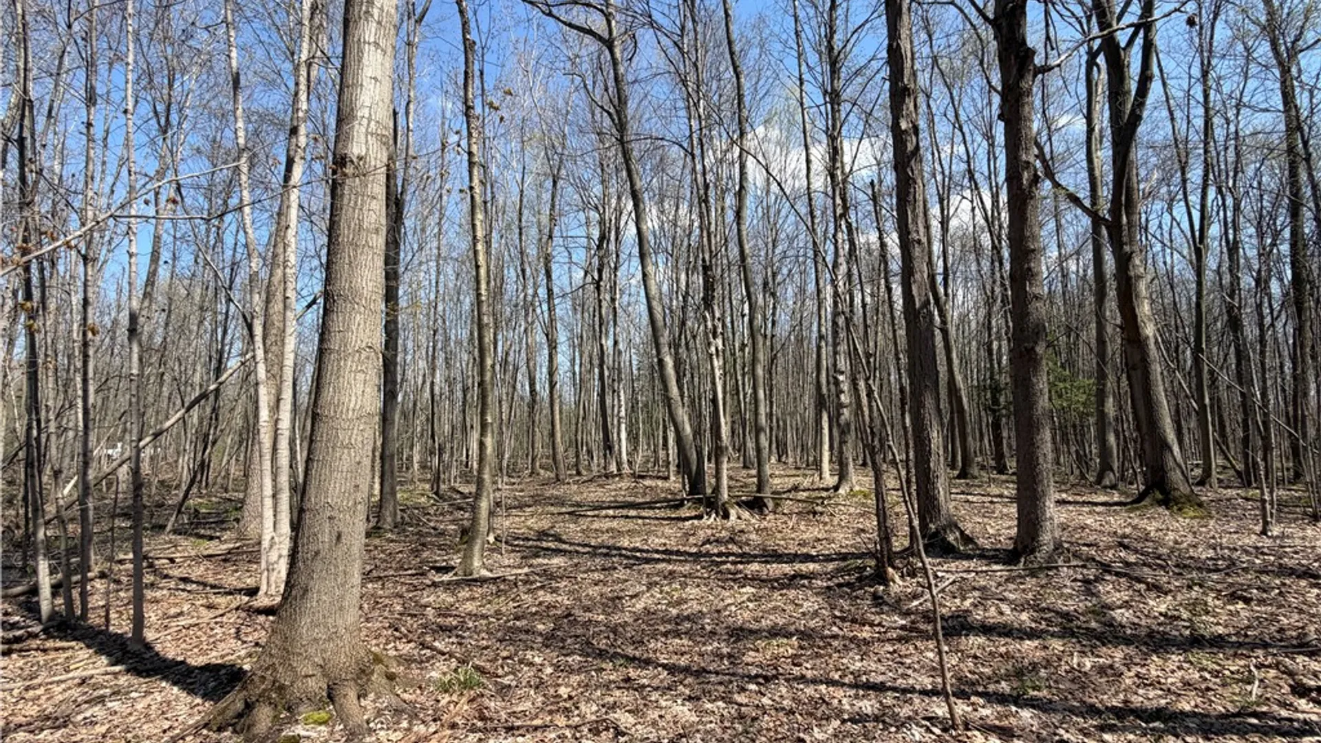 Property at Cedar Road, Clarence, NY 14032 18