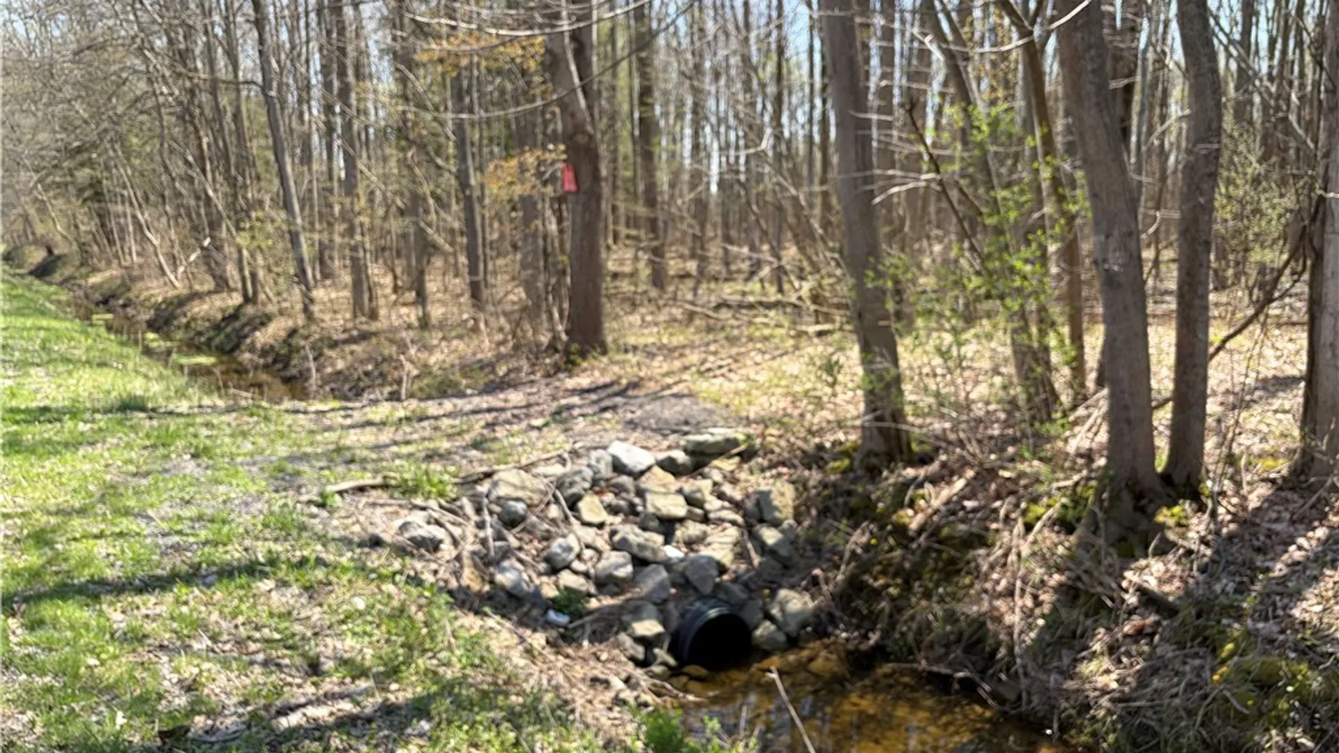 Property at Cedar Road, Clarence, NY 14032 4