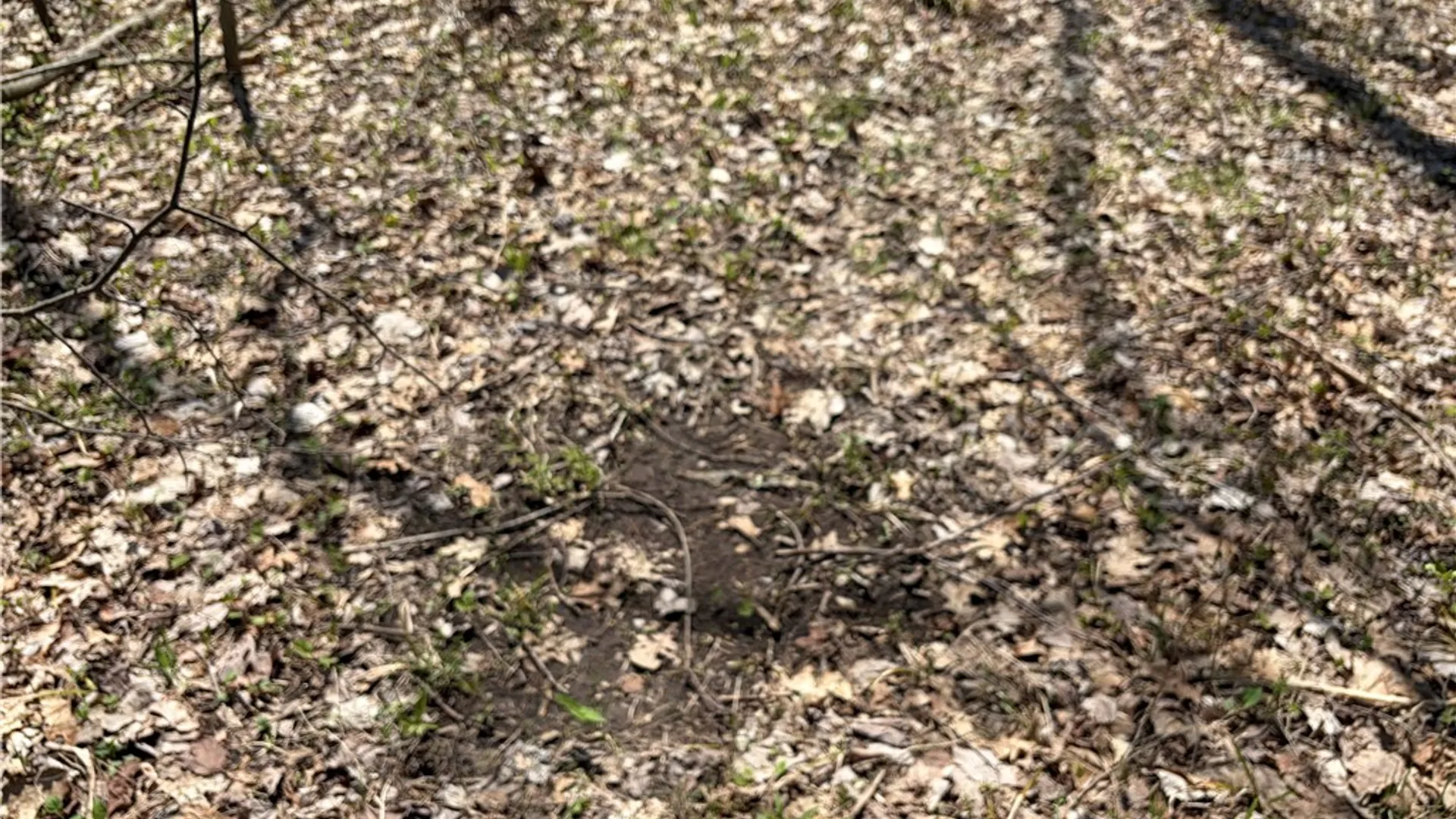 Property at Cedar Road, Clarence, NY 14032 5