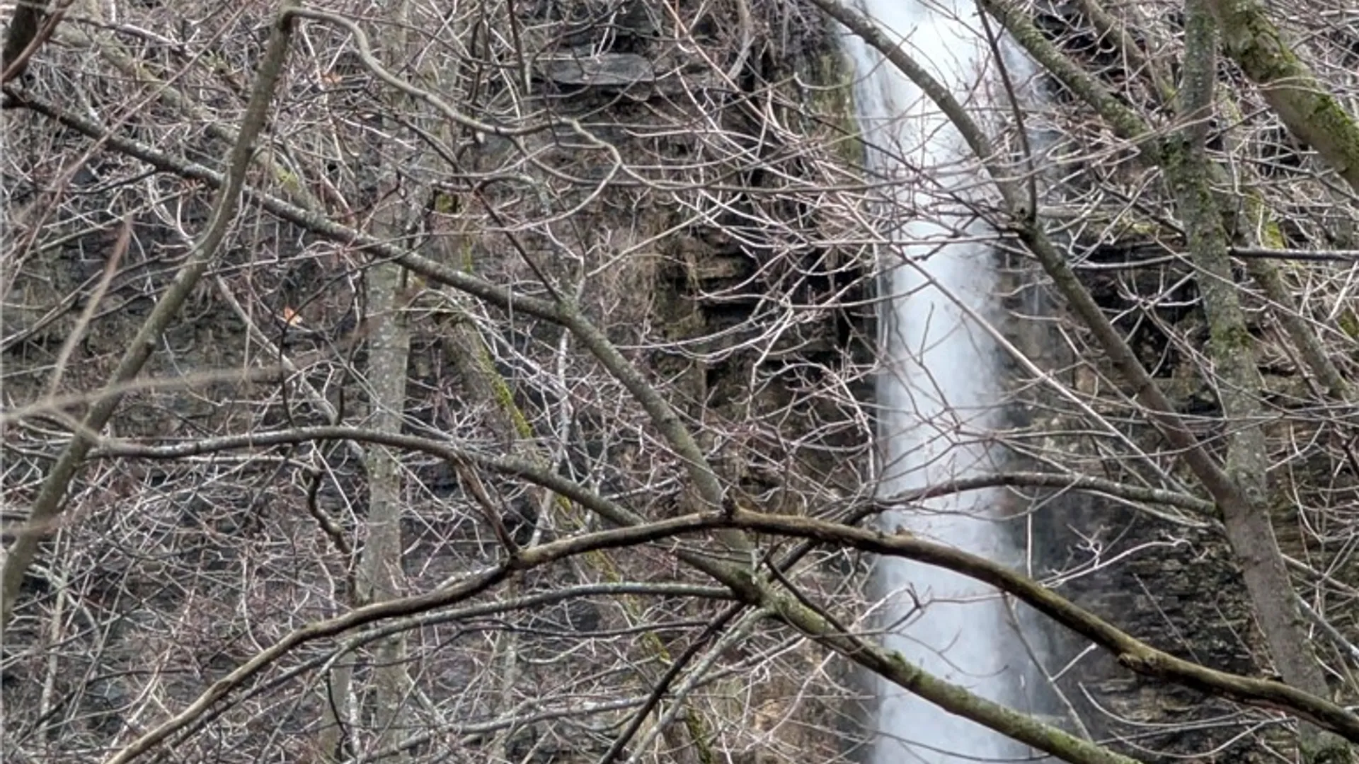 Property at 15 Canyon Trail, Penfield, NY 14625 35