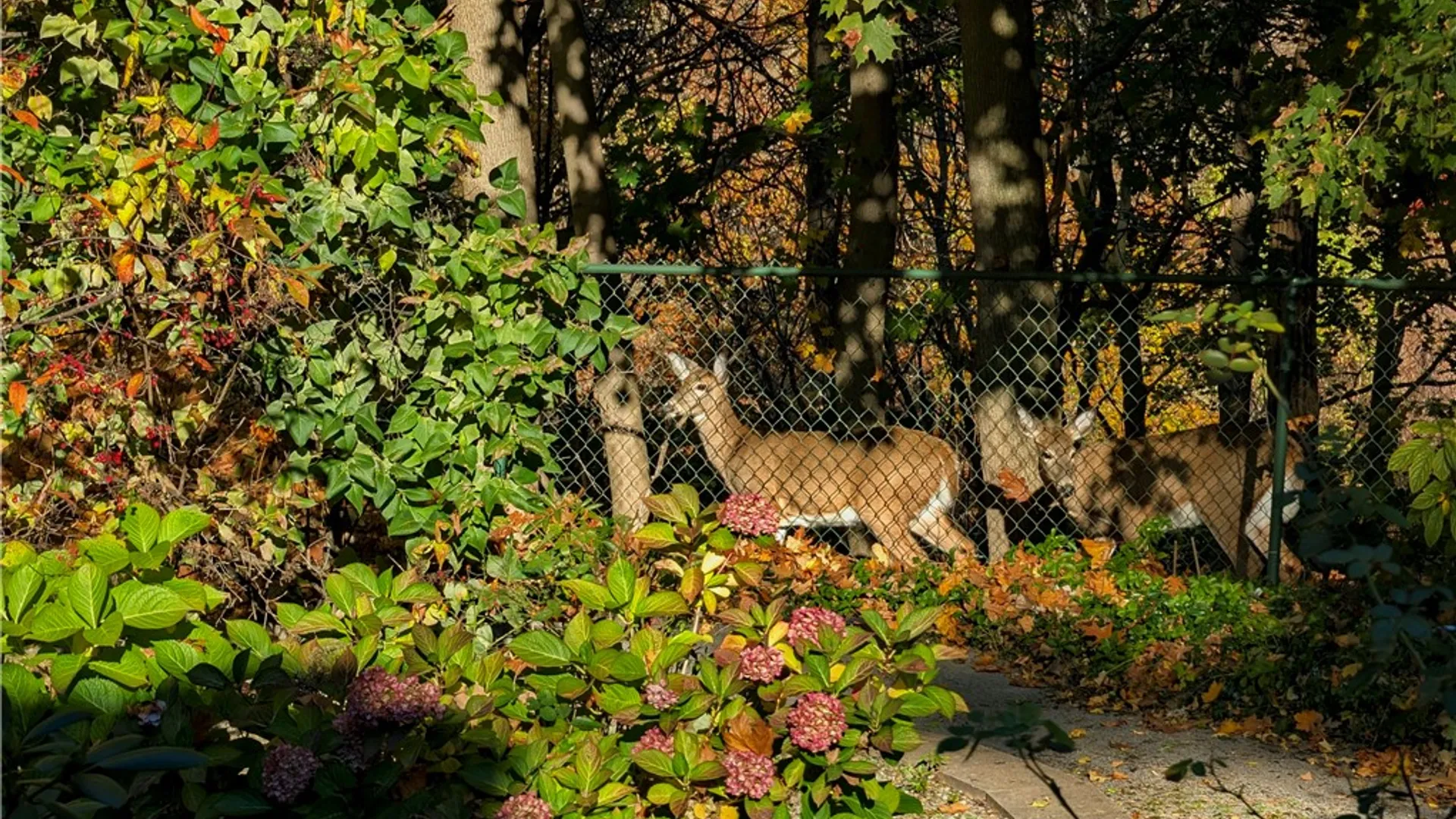 Property at 15 Canyon Trail, Penfield, NY 14625 43