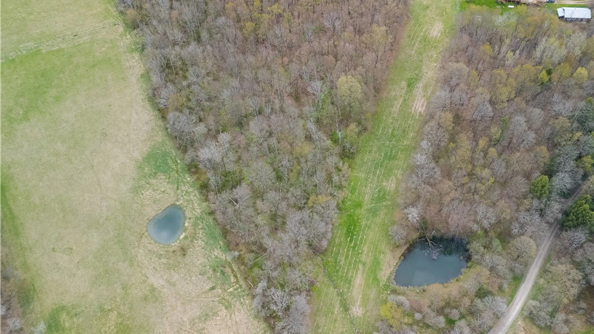 Property at 169 Musto Hollow Road, Bingham, PA 16948 49