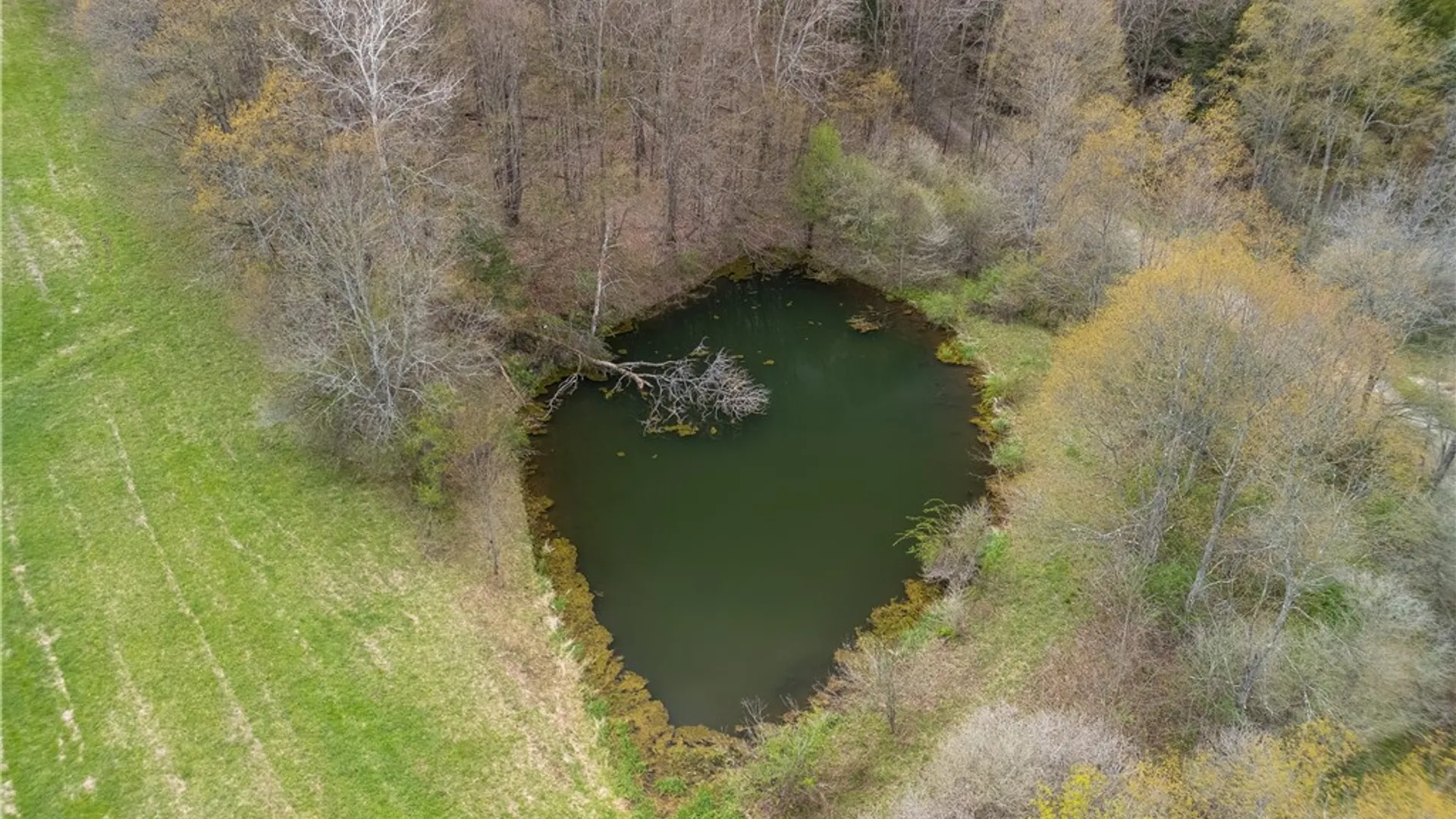 Property at 169 Musto Hollow Road, Bingham, PA 16948 50