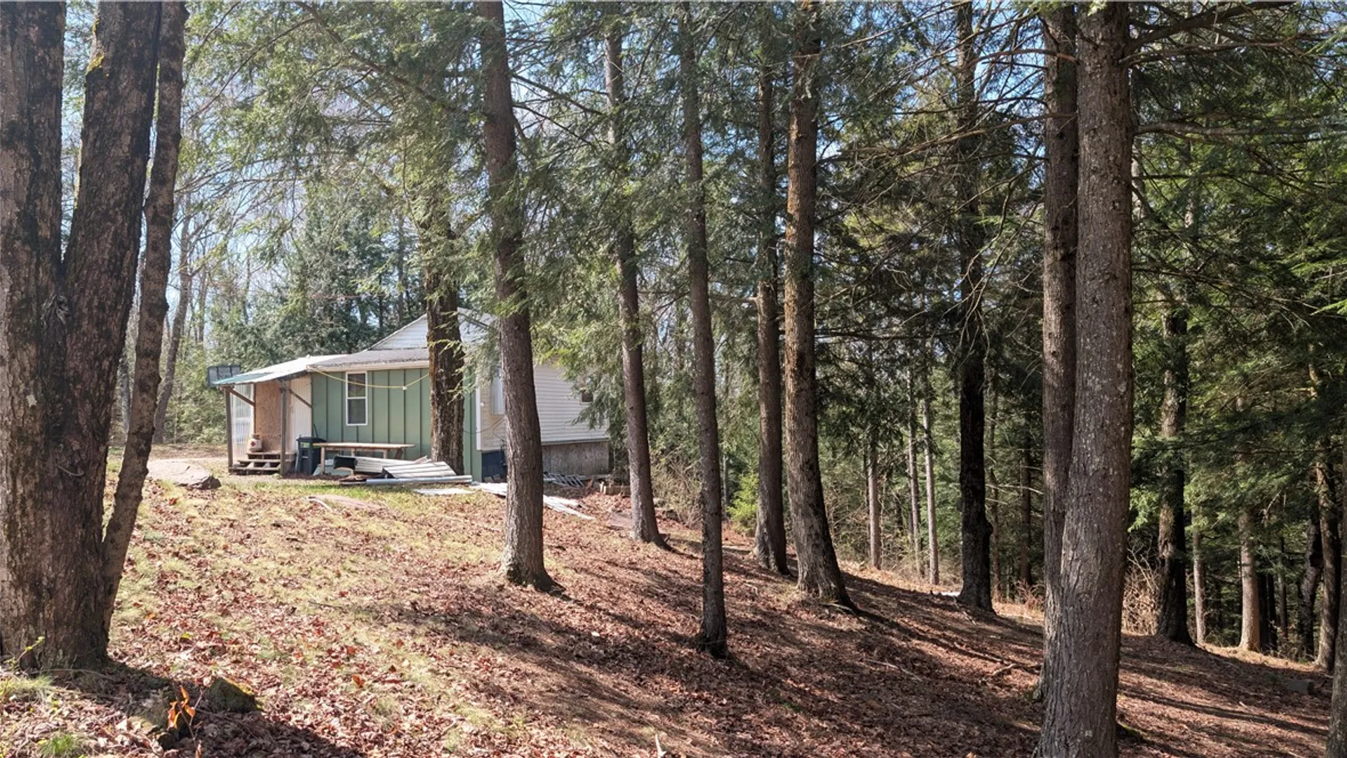 Property at 245 Woodchuck Run, Summit, NY 12093 28