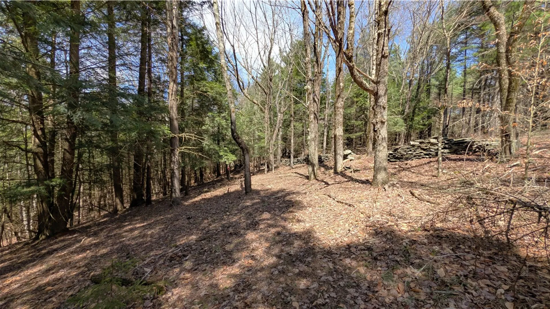 Property at 245 Woodchuck Run, Summit, NY 12093 31