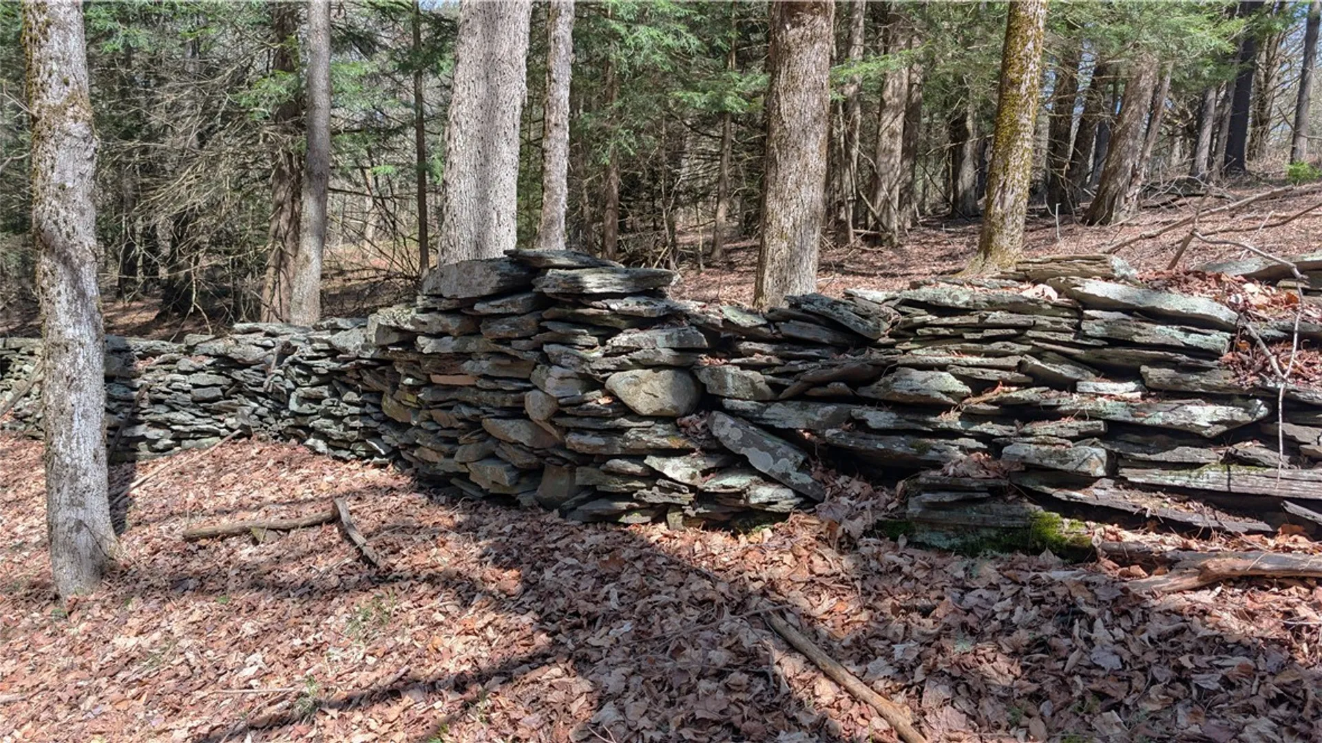 Property at 245 Woodchuck Run, Summit, NY 12093 32